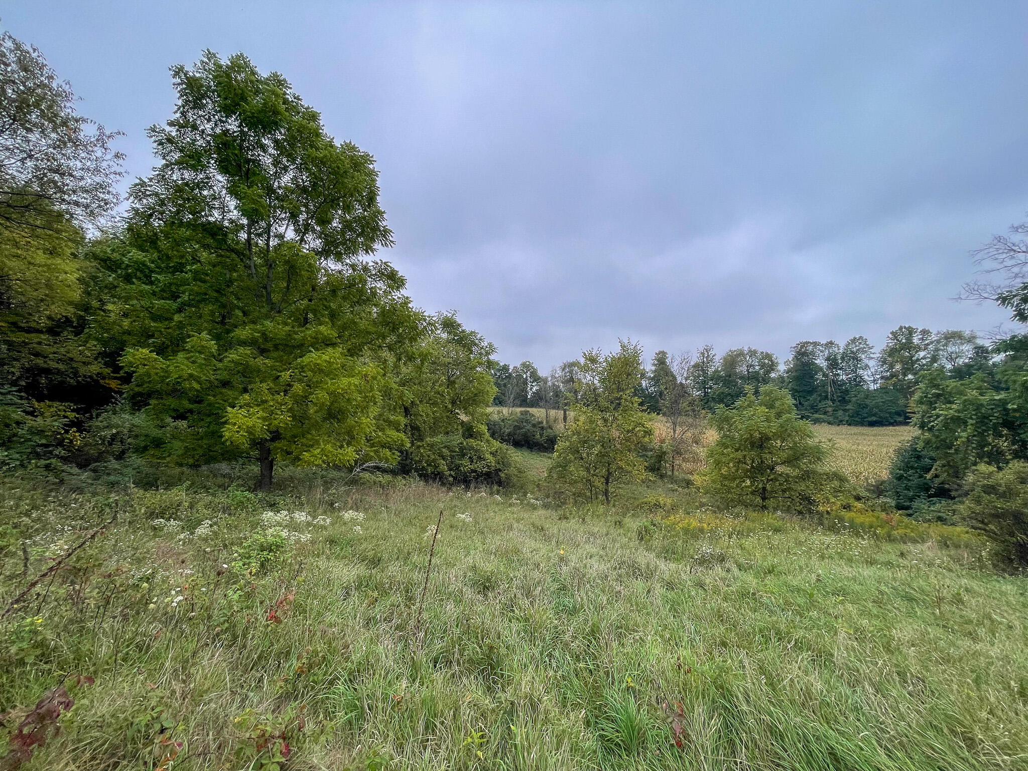13ACRES 19th Street Hopkins MI 49328