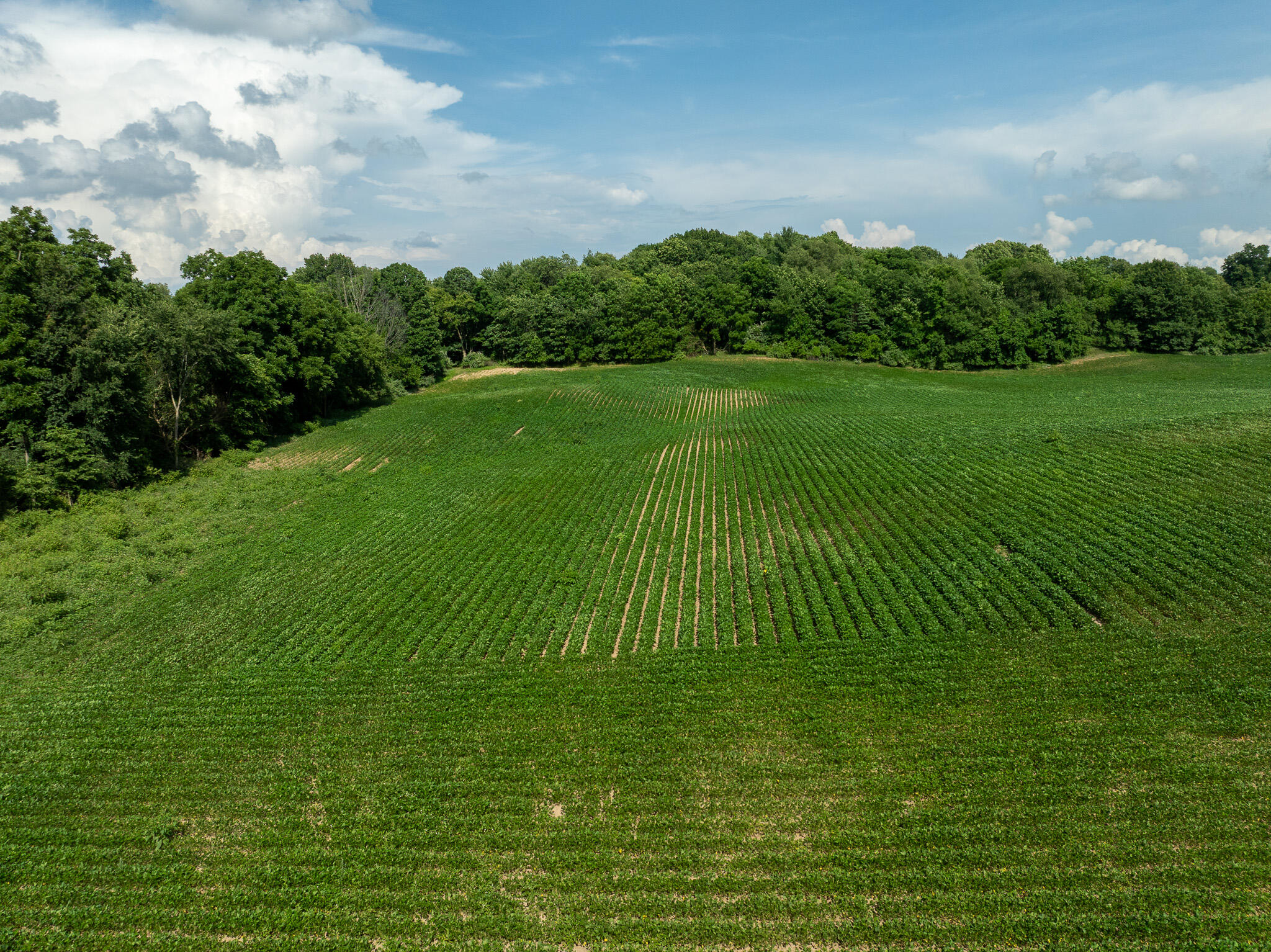 13ACRES 19th Street Hopkins MI 49328
