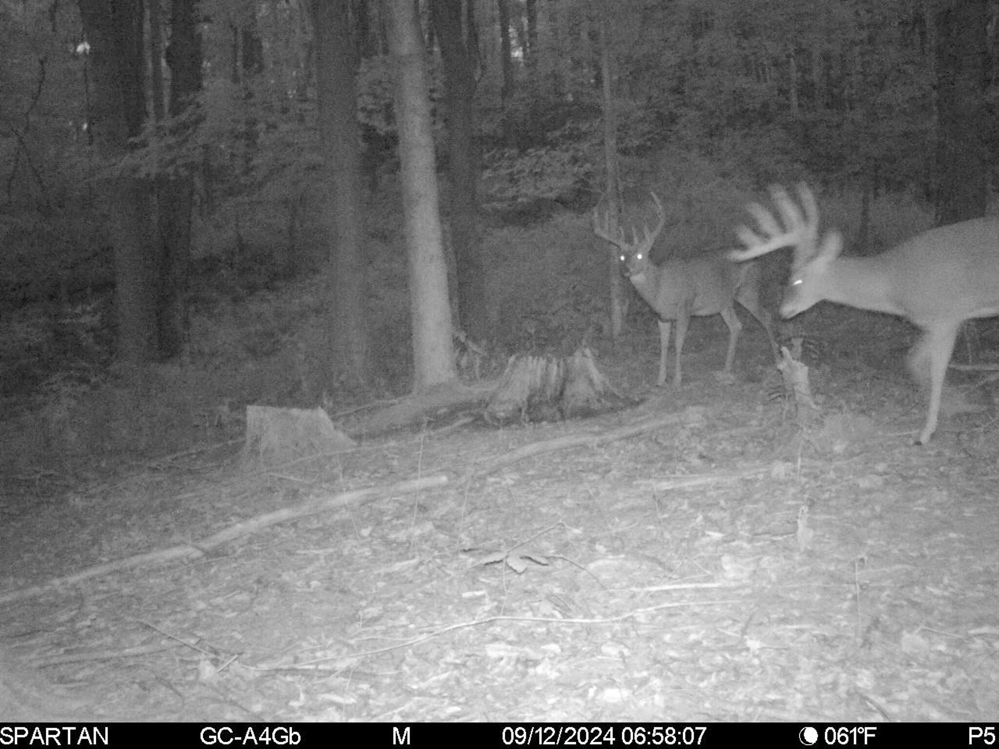 13ACRES 19th Street Hopkins MI 49328