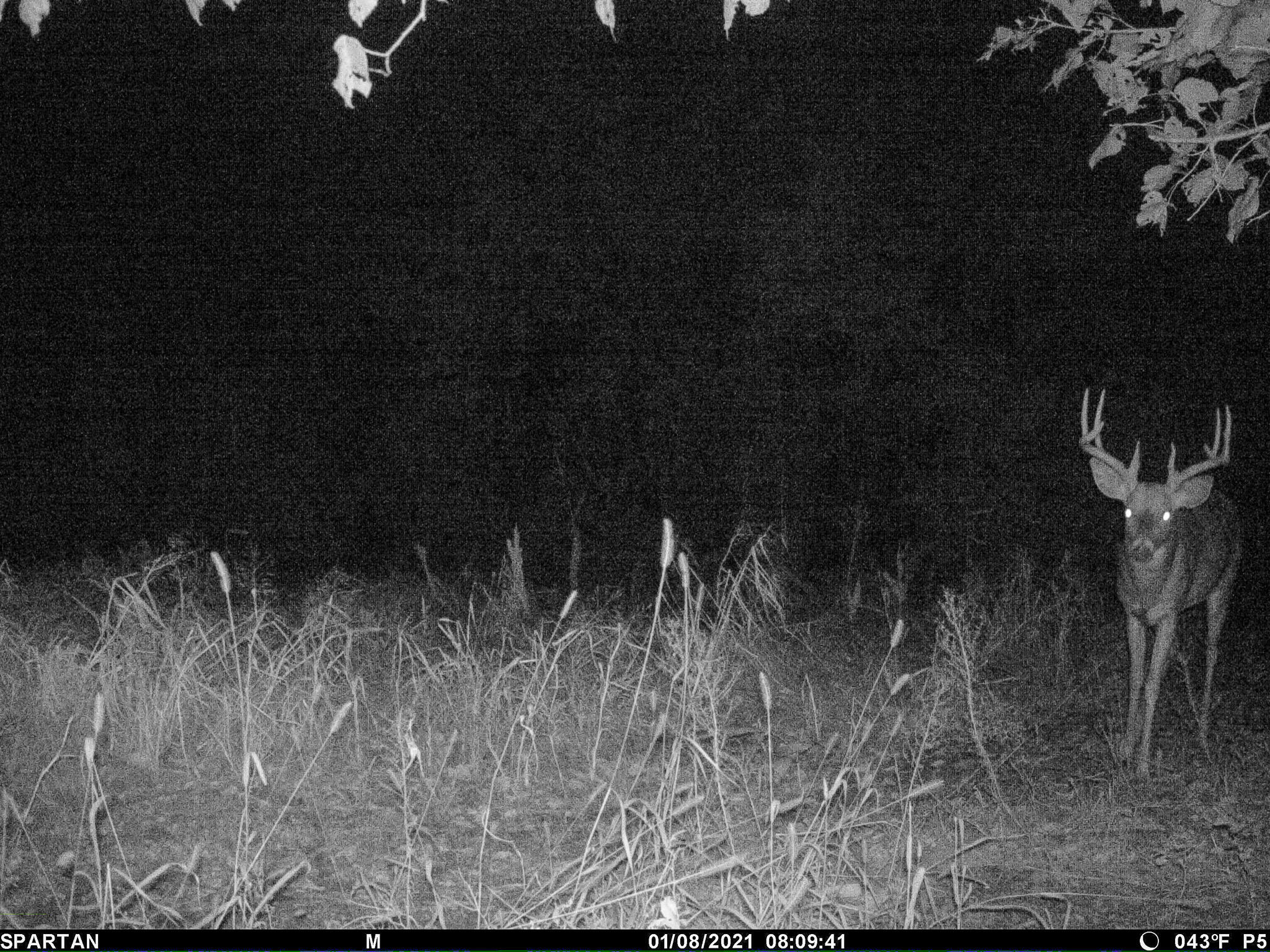 13ACRES 19th Street Hopkins MI 49328