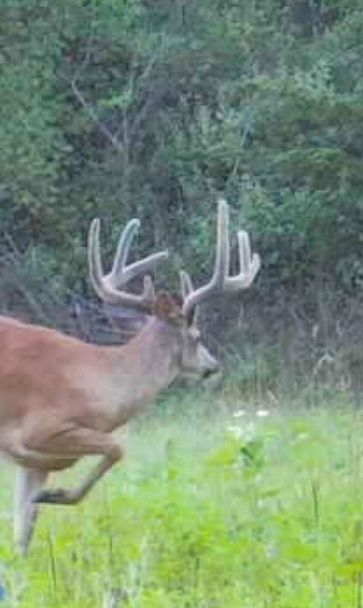 13ACRES 19th Street Hopkins MI 49328