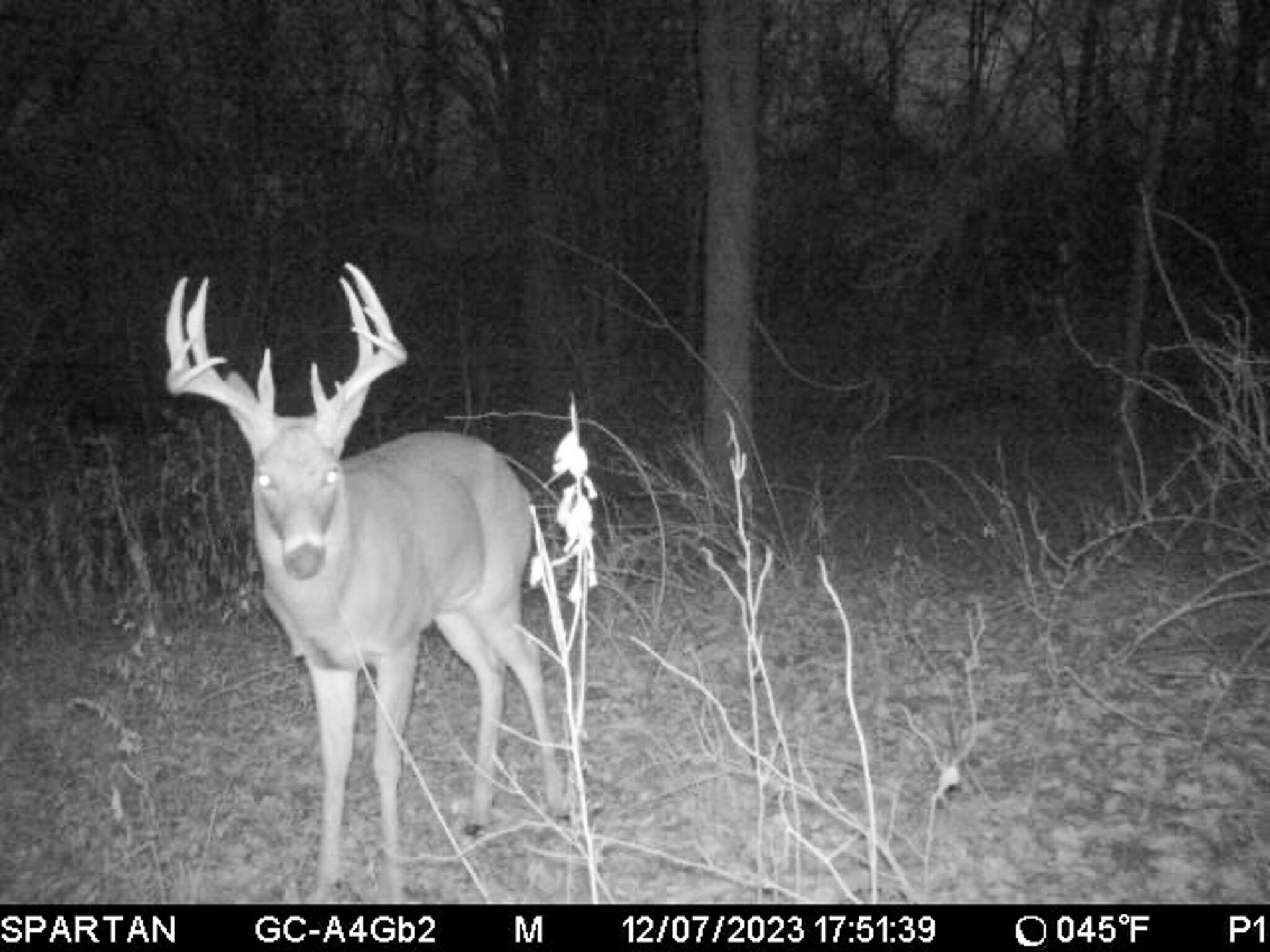 13ACRES 19th Street Hopkins MI 49328