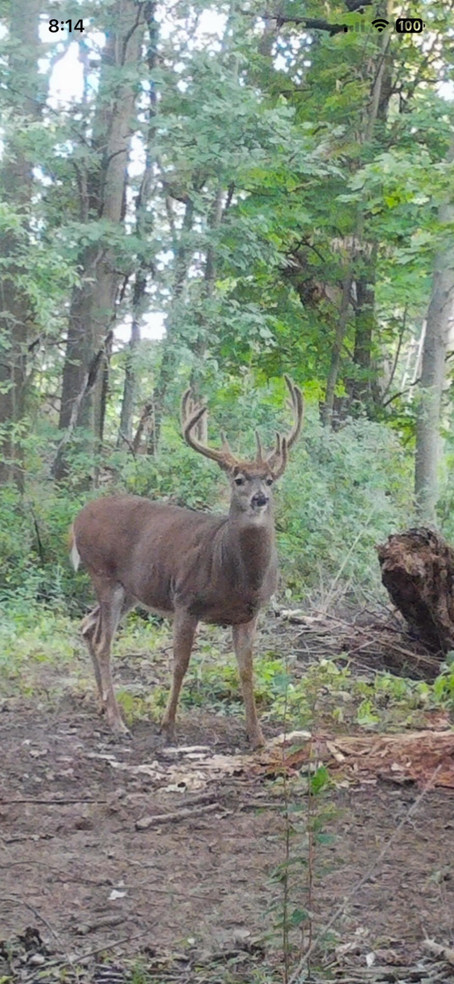 13ACRES 19th Street Hopkins MI 49328