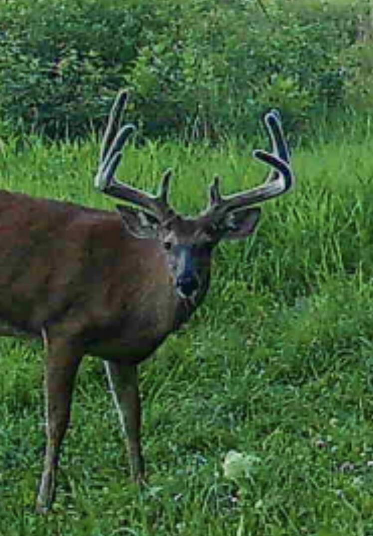 13ACRES 19th Street Hopkins MI 49328