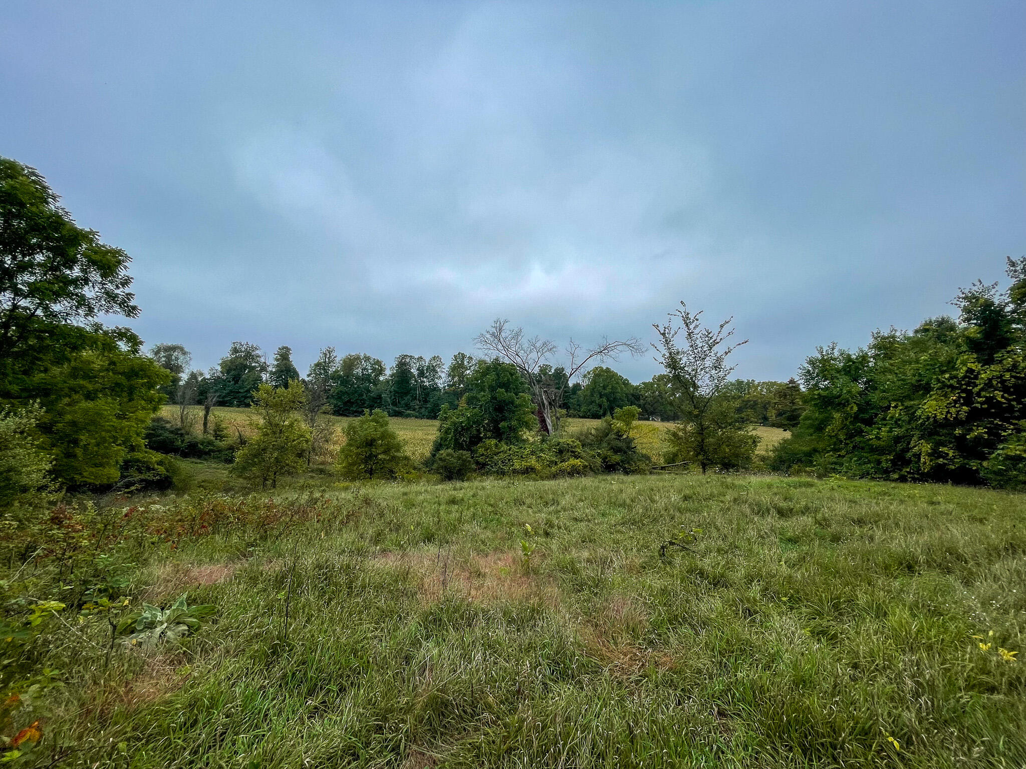 13ACRES 19th Street Hopkins MI 49328