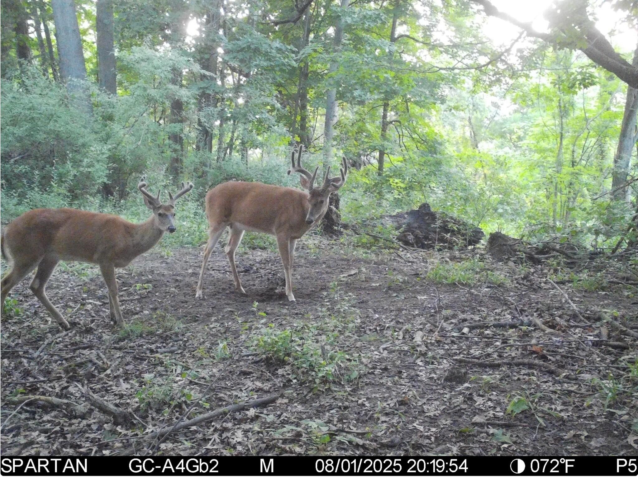 13ACRES 19th Street Hopkins MI 49328