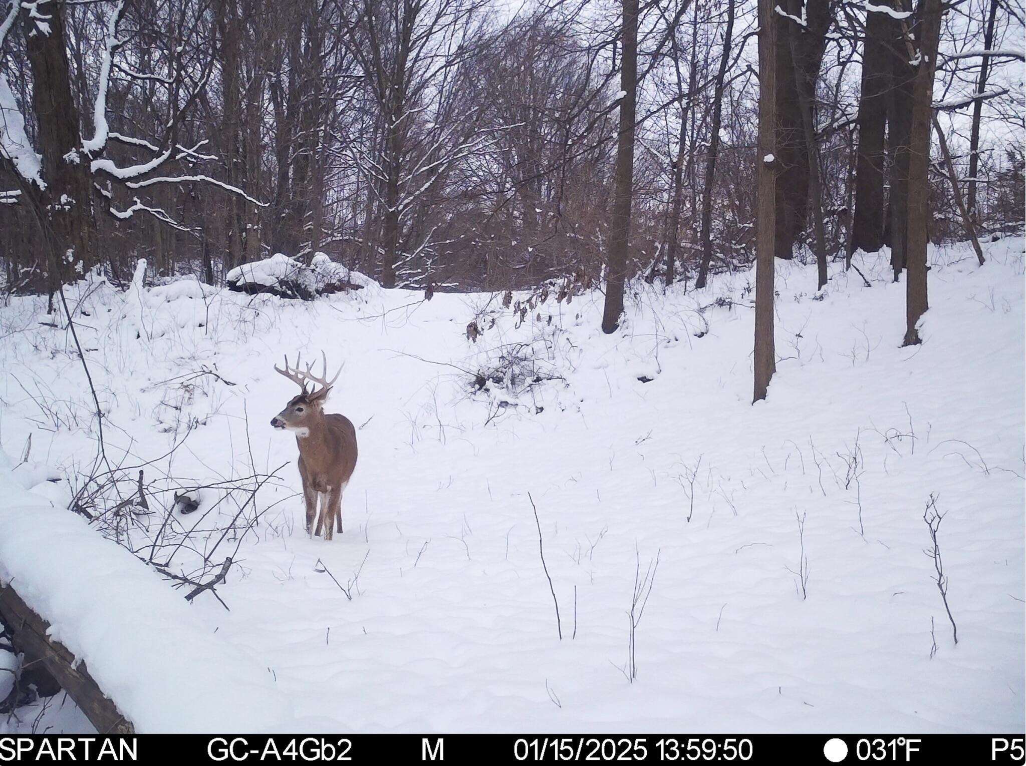 13ACRES 19th Street Hopkins MI 49328
