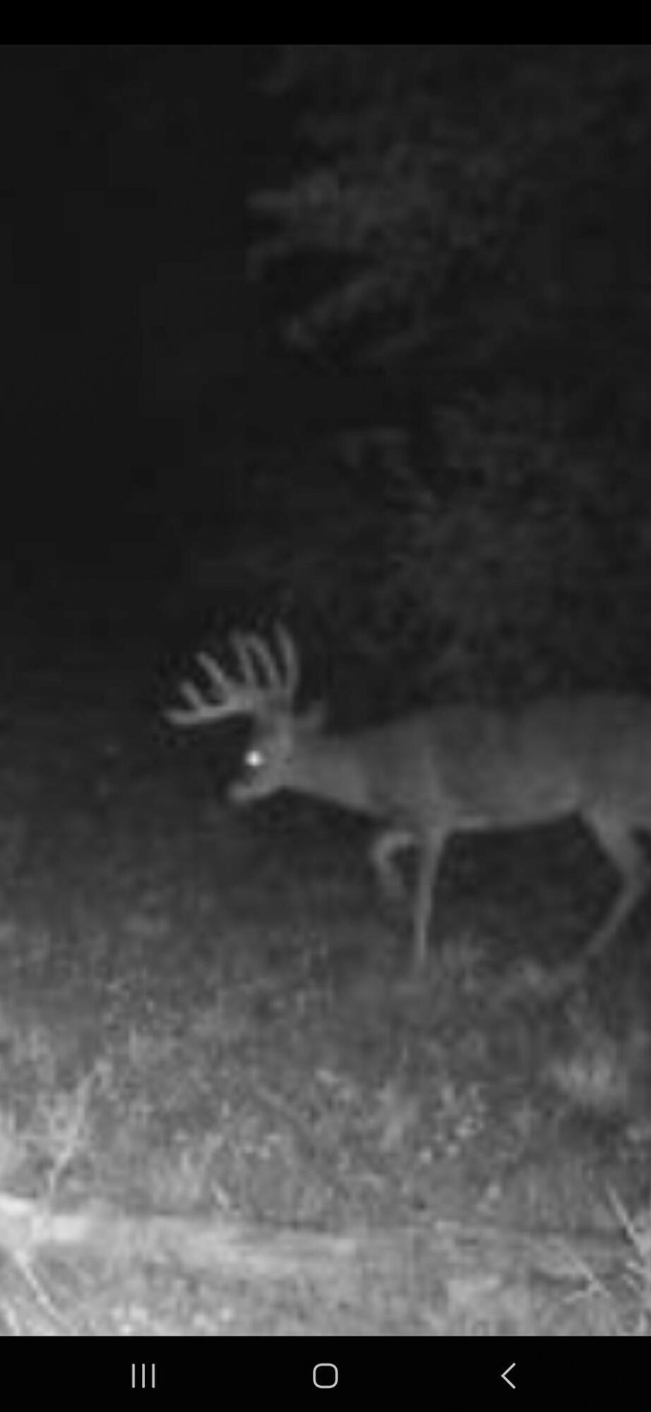 13ACRES 19th Street Hopkins MI 49328