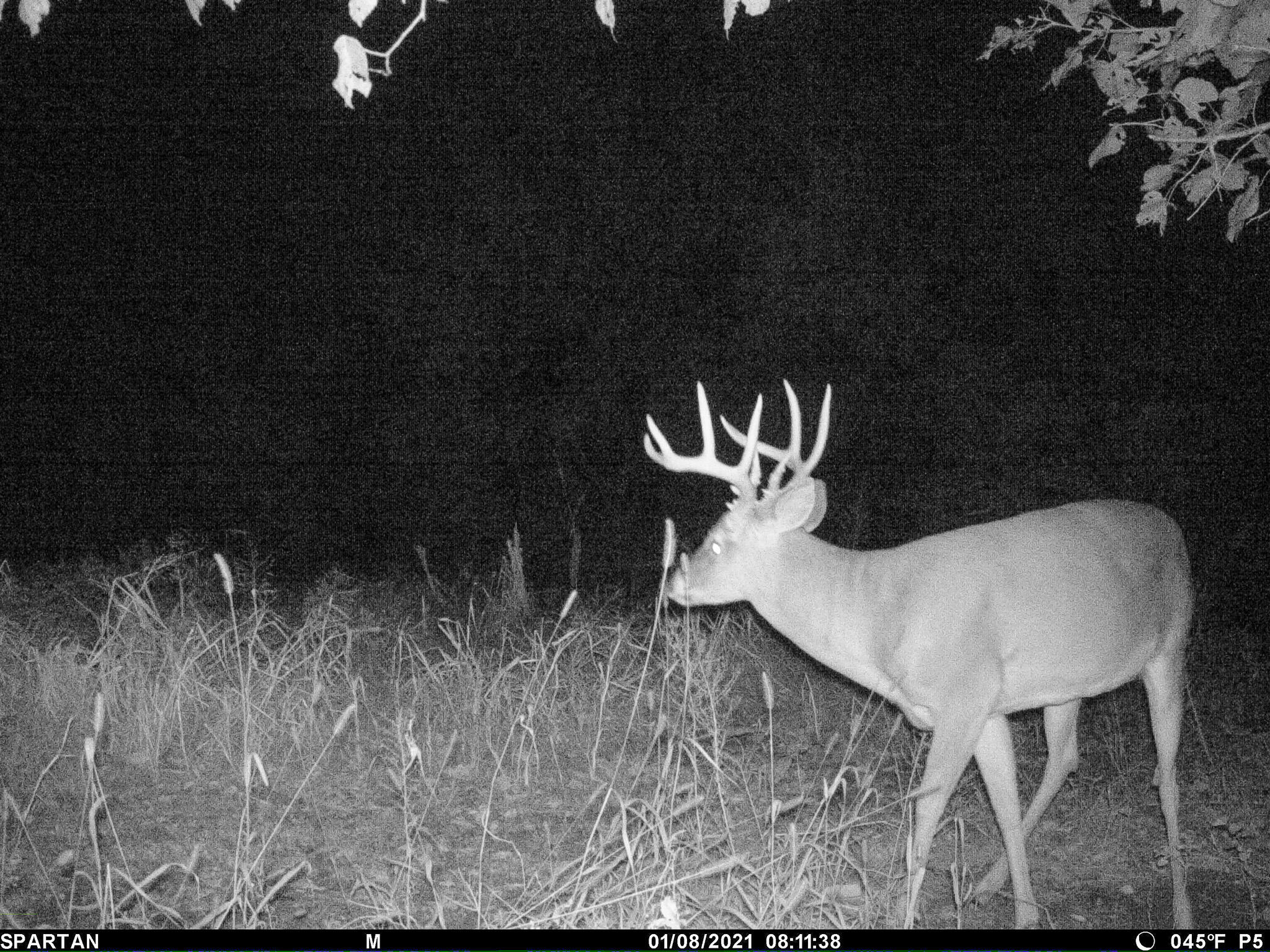 13ACRES 19th Street Hopkins MI 49328
