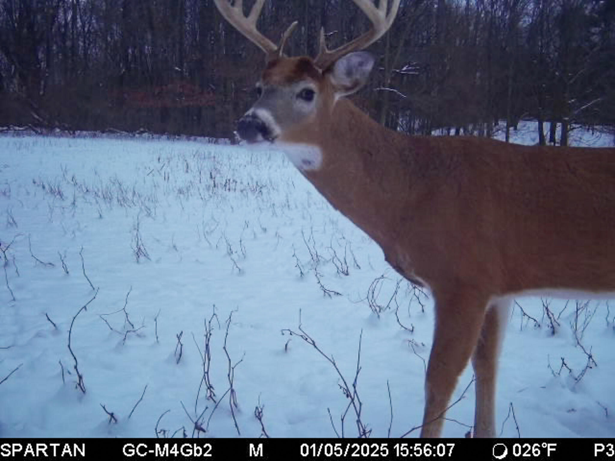 13ACRES 19th Street Hopkins MI 49328