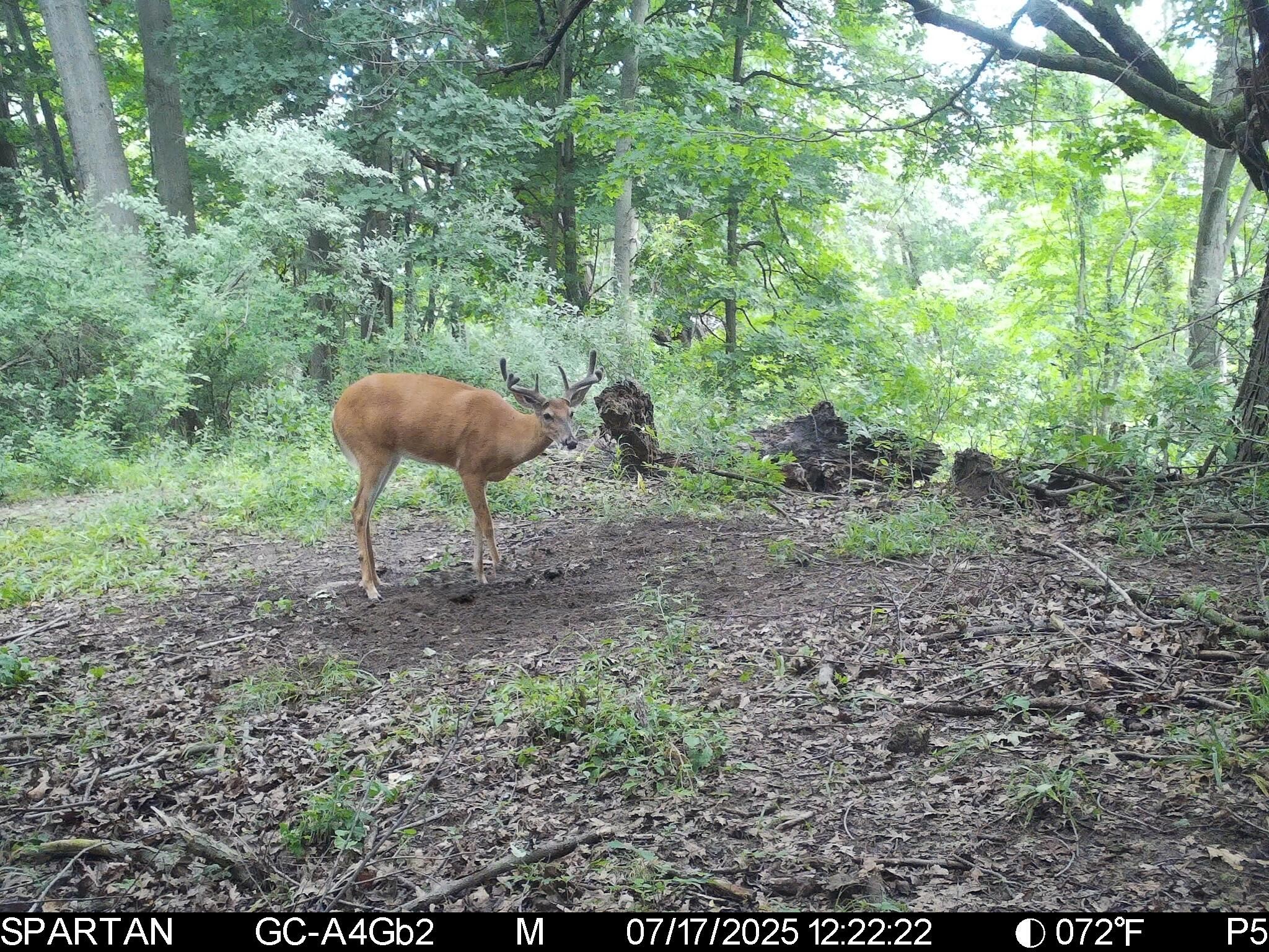 13ACRES 19th Street Hopkins MI 49328