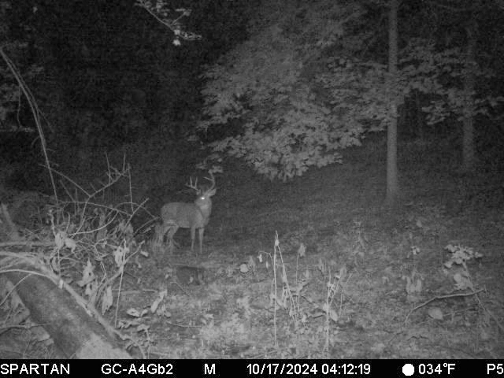 13ACRES 19th Street Hopkins MI 49328