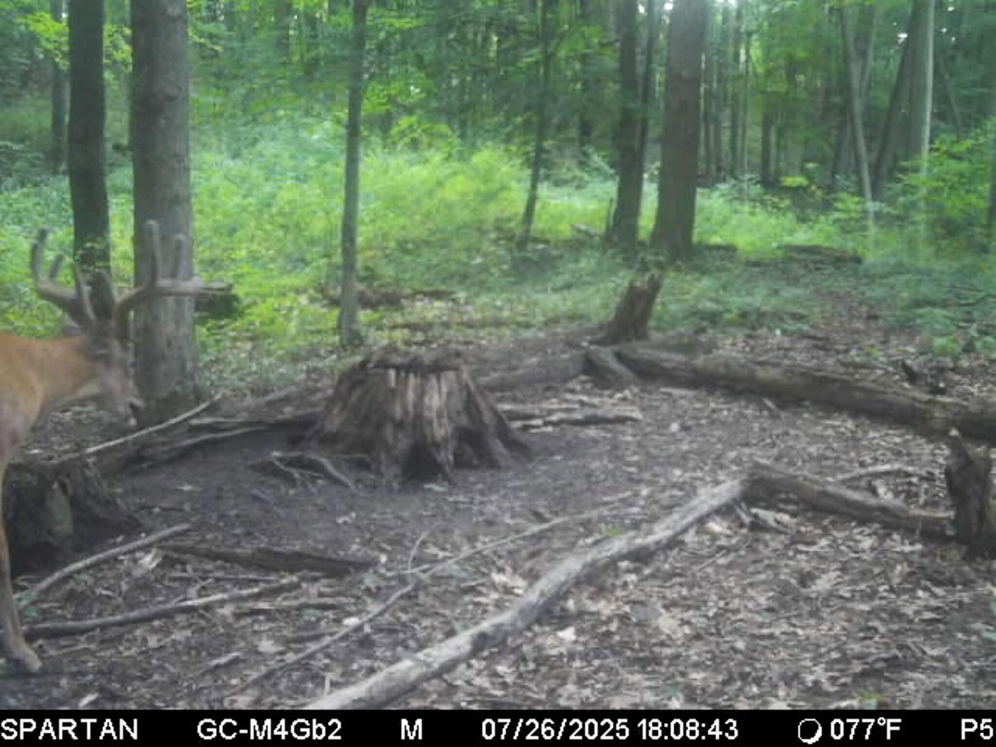 13ACRES 19th Street Hopkins MI 49328