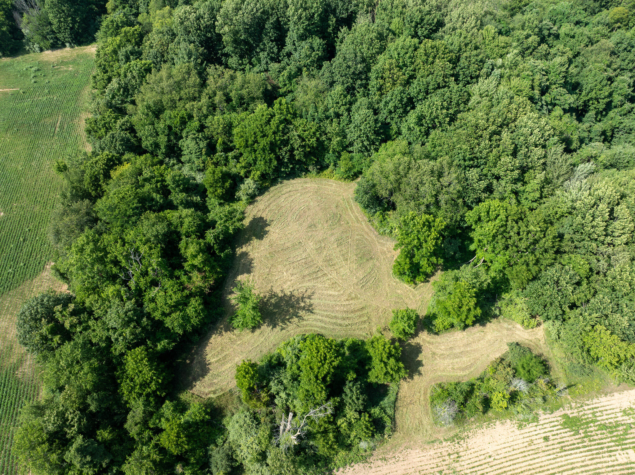 13ACRES 19th Street Hopkins MI 49328