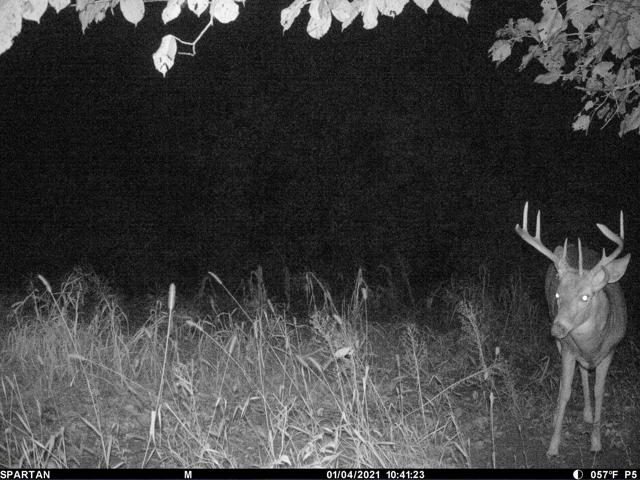 13ACRES 19th Street Hopkins MI 49328