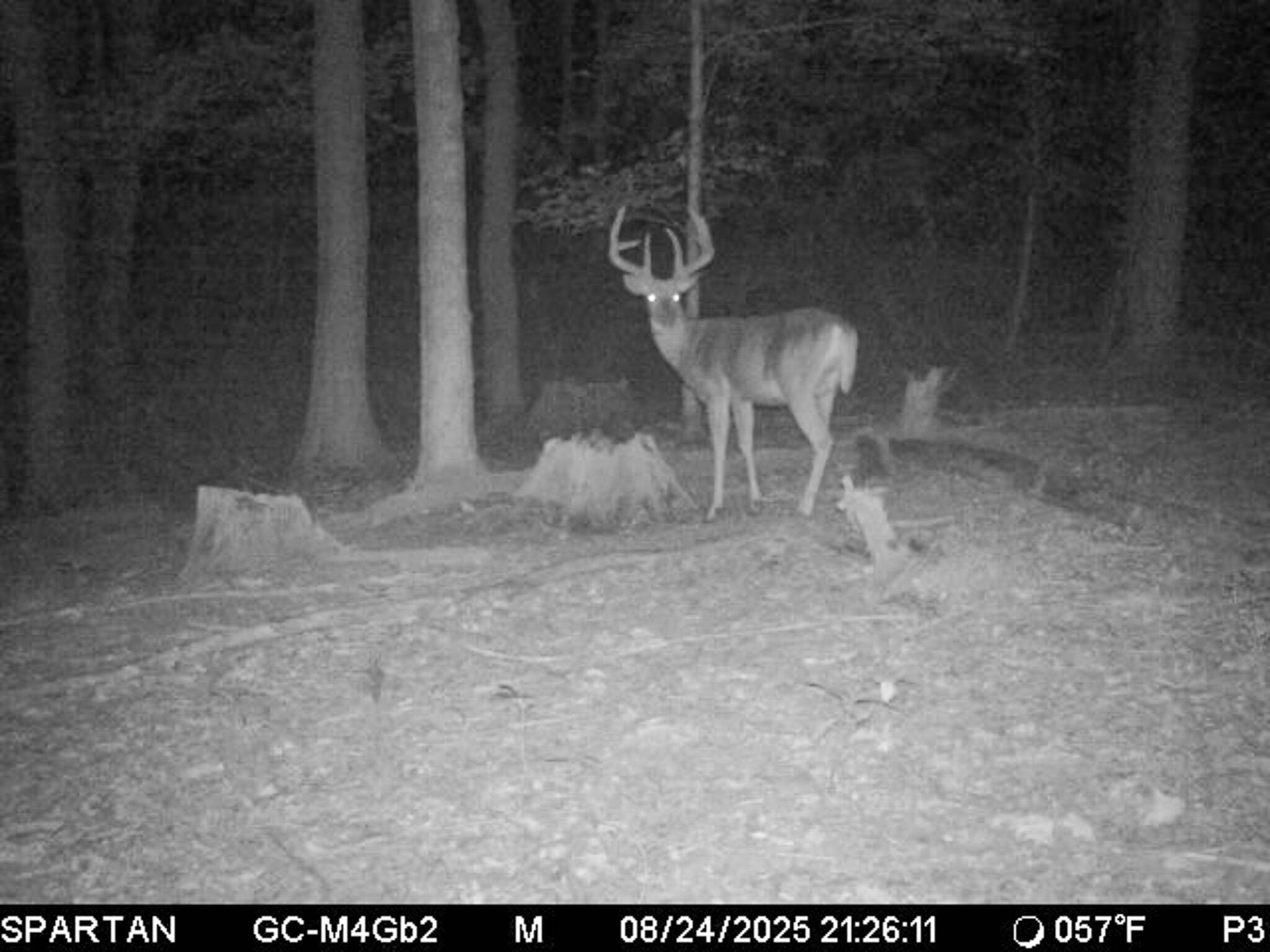 13ACRES 19th Street Hopkins MI 49328
