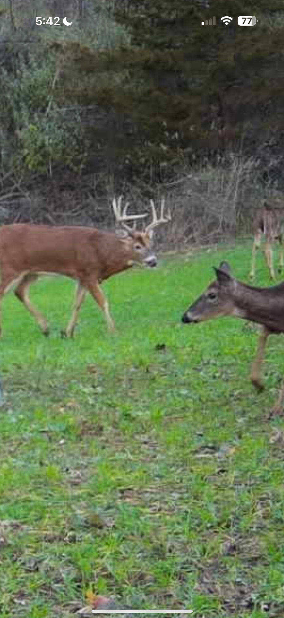 13ACRES 19th Street Hopkins MI 49328