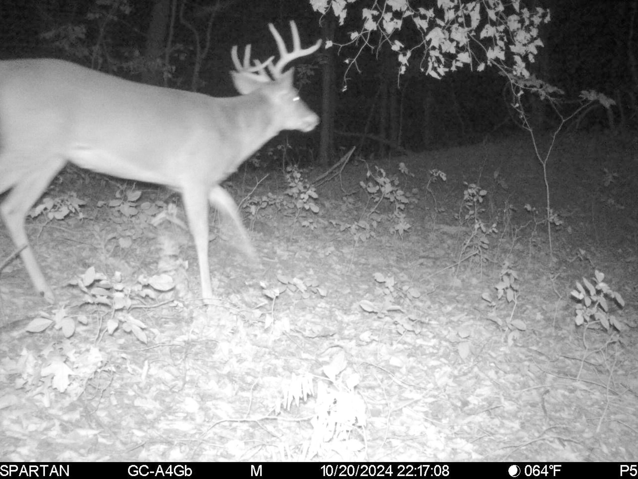 13ACRES 19th Street Hopkins MI 49328