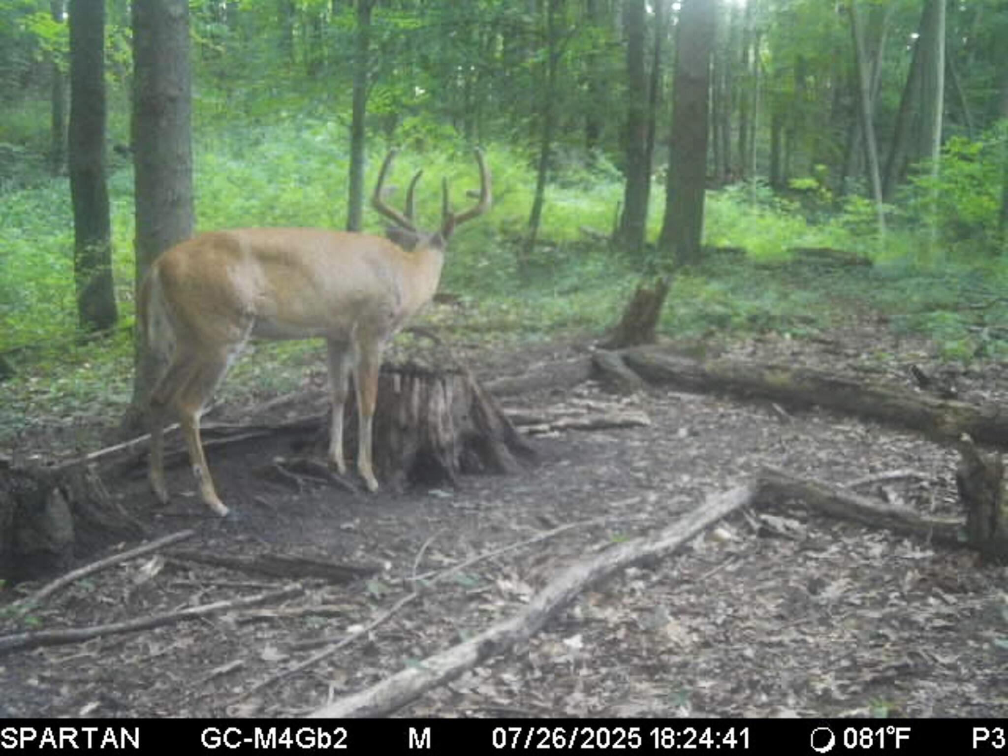 13ACRES 19th Street Hopkins MI 49328