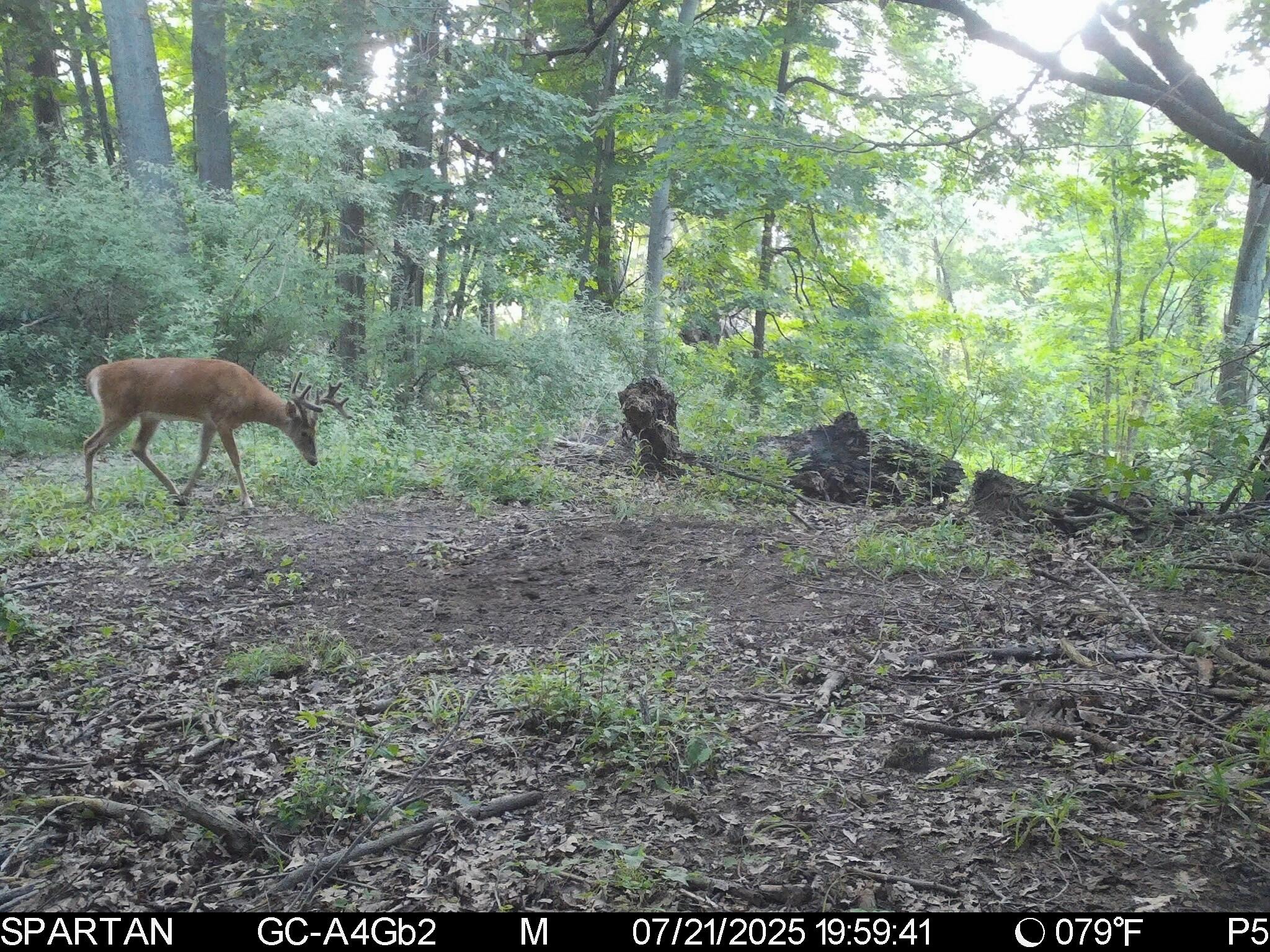13ACRES 19th Street Hopkins MI 49328
