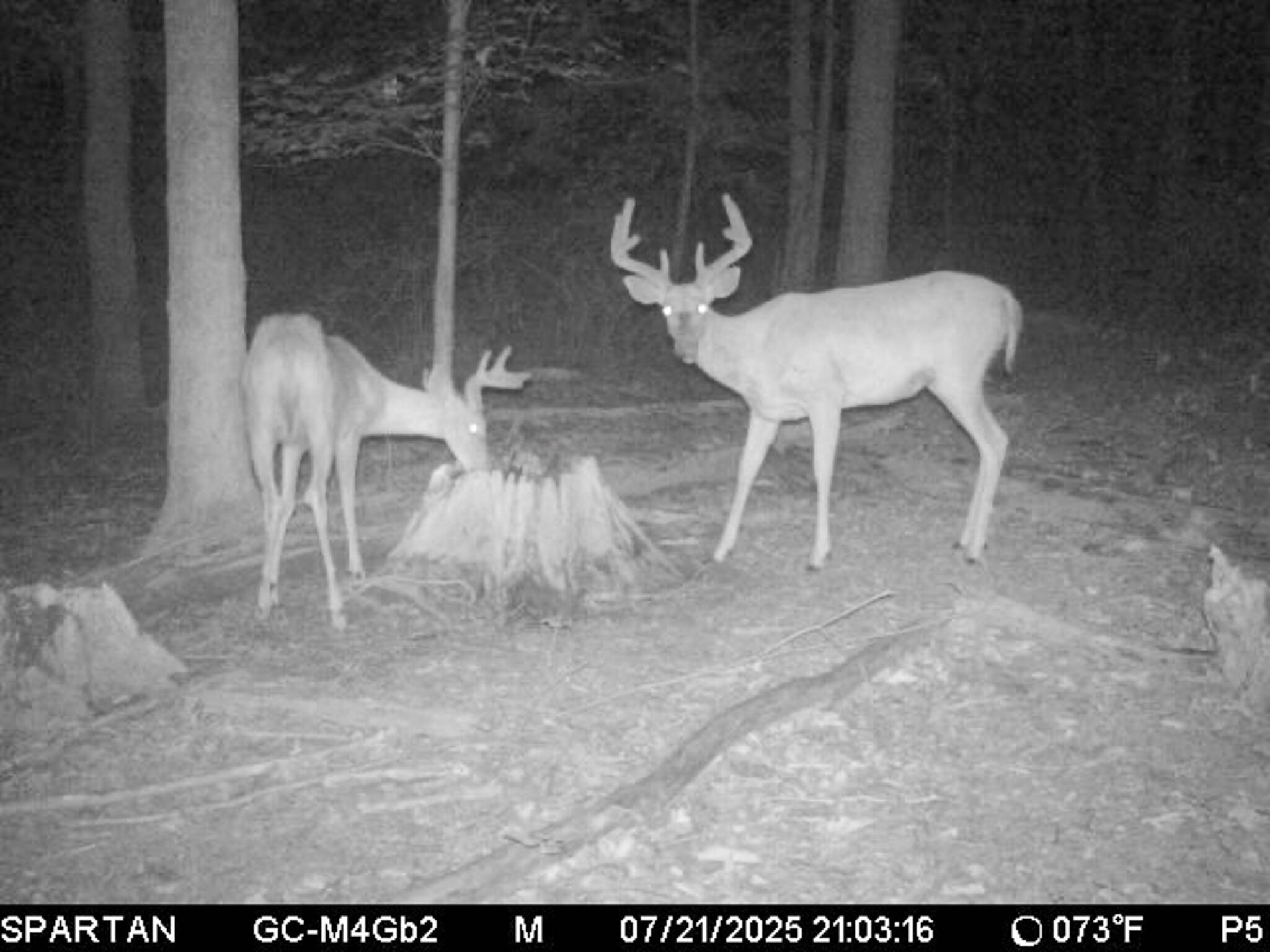 13ACRES 19th Street Hopkins MI 49328