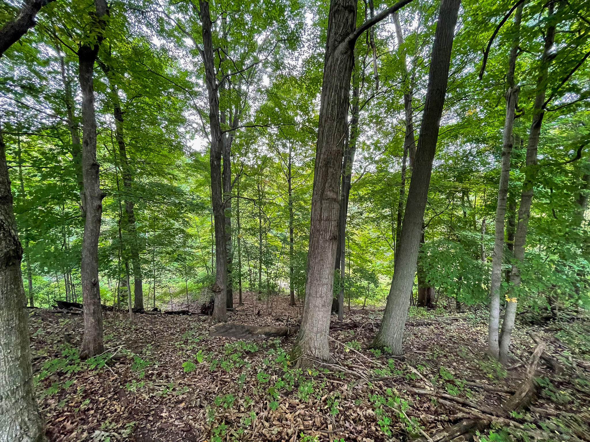 13ACRES 19th Street Hopkins MI 49328