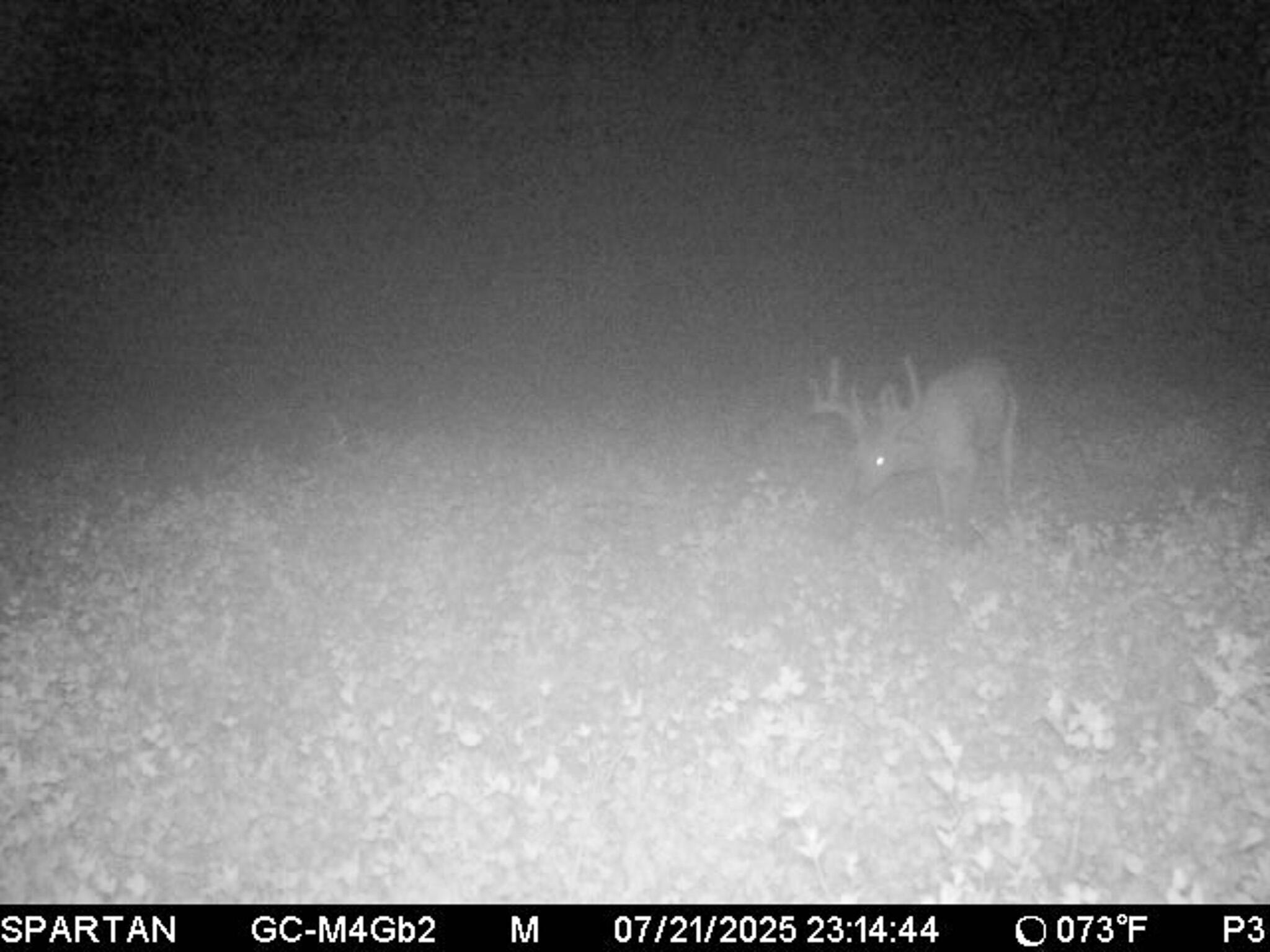 13ACRES 19th Street Hopkins MI 49328