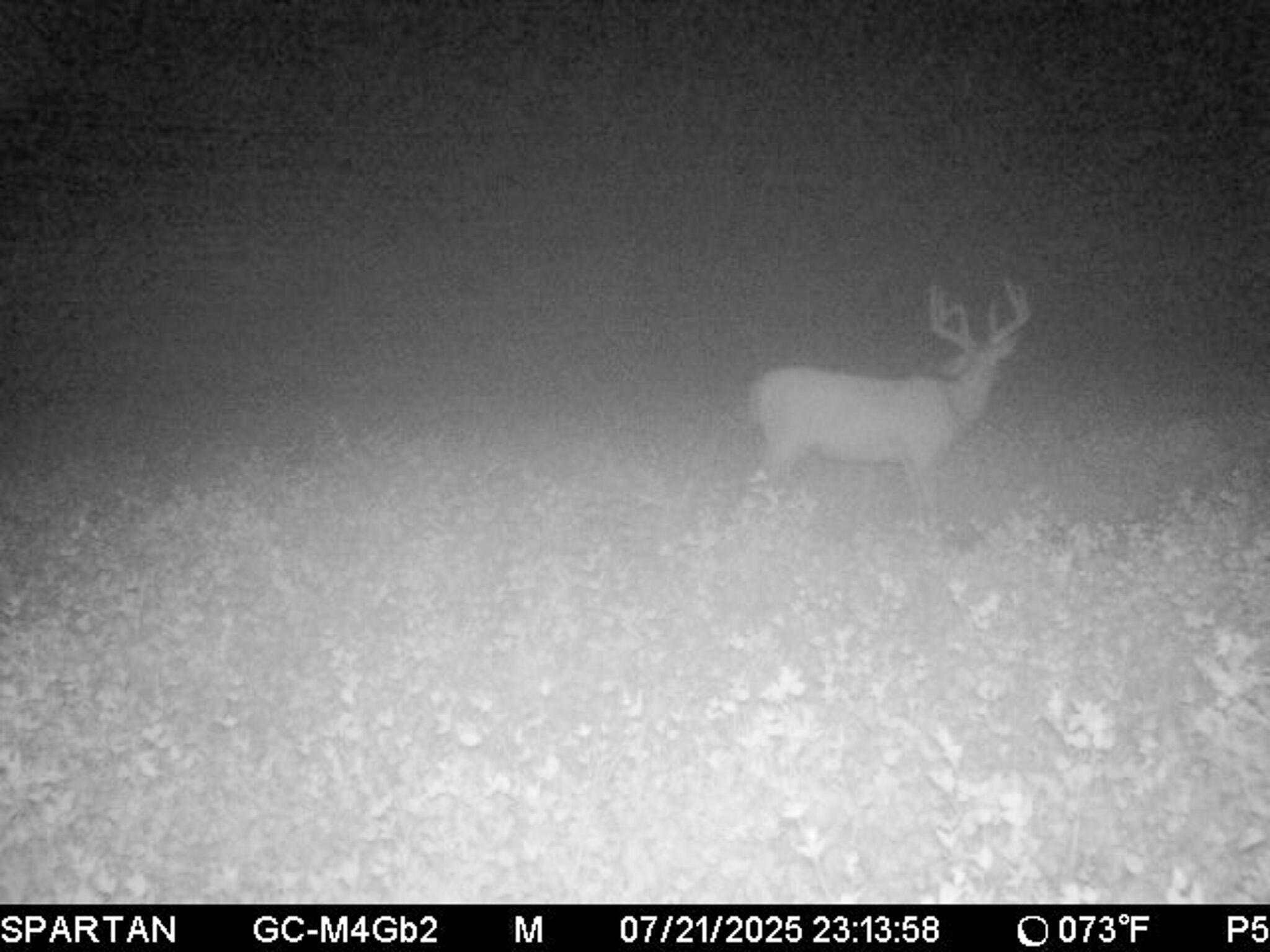 13ACRES 19th Street Hopkins MI 49328