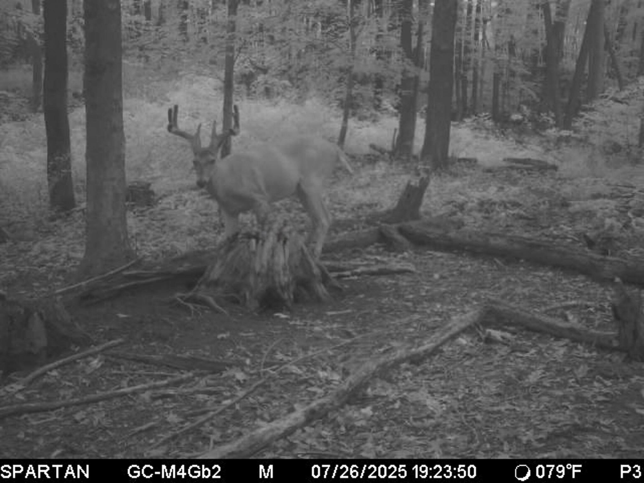 13ACRES 19th Street Hopkins MI 49328