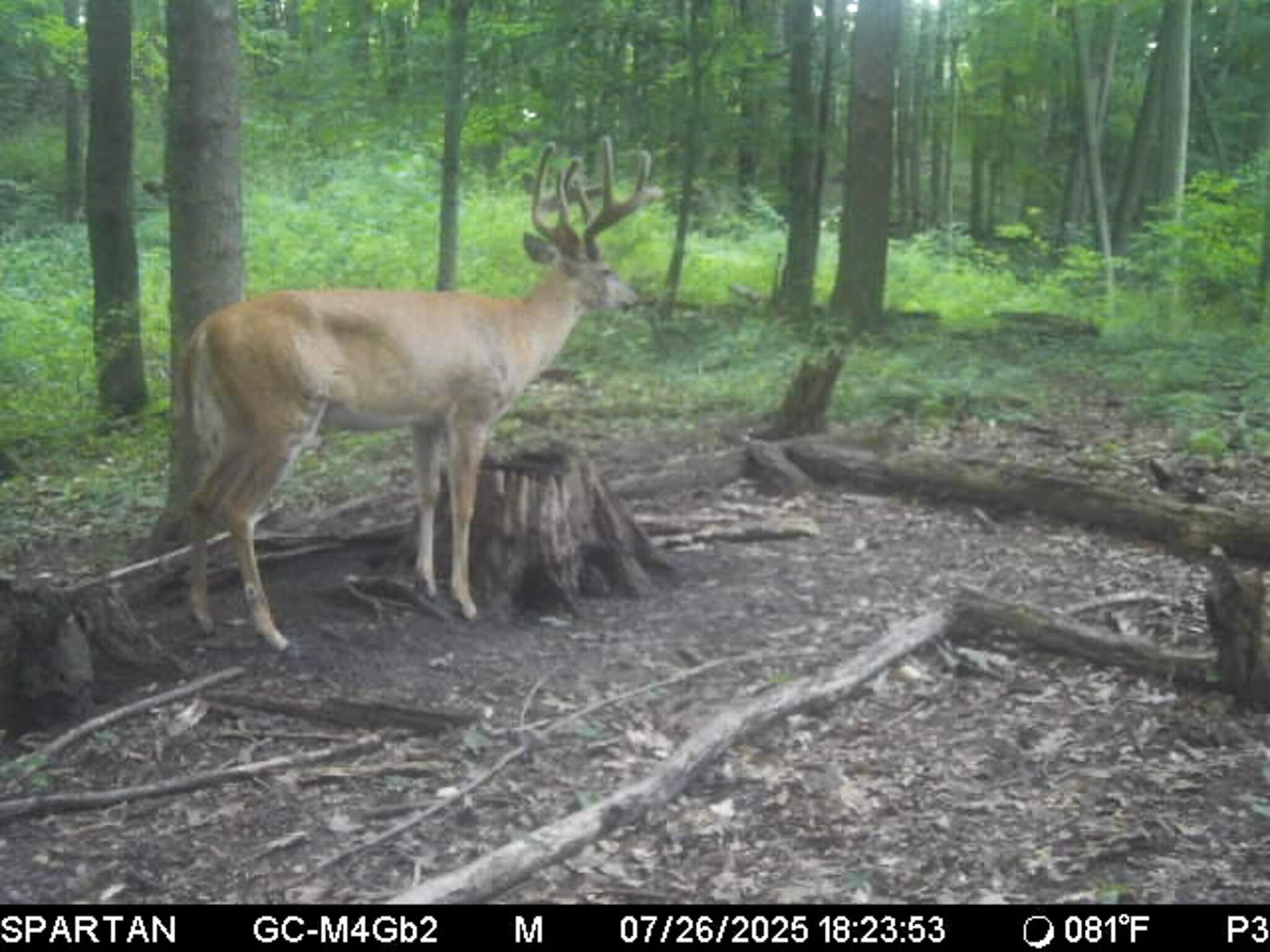 13ACRES 19th Street Hopkins MI 49328