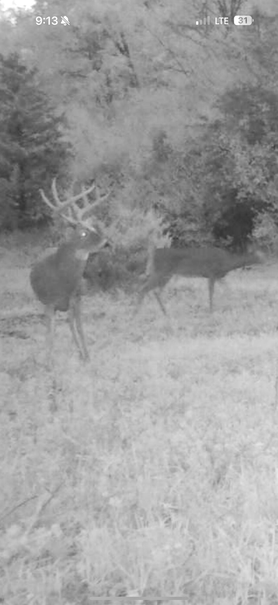 13ACRES 19th Street Hopkins MI 49328