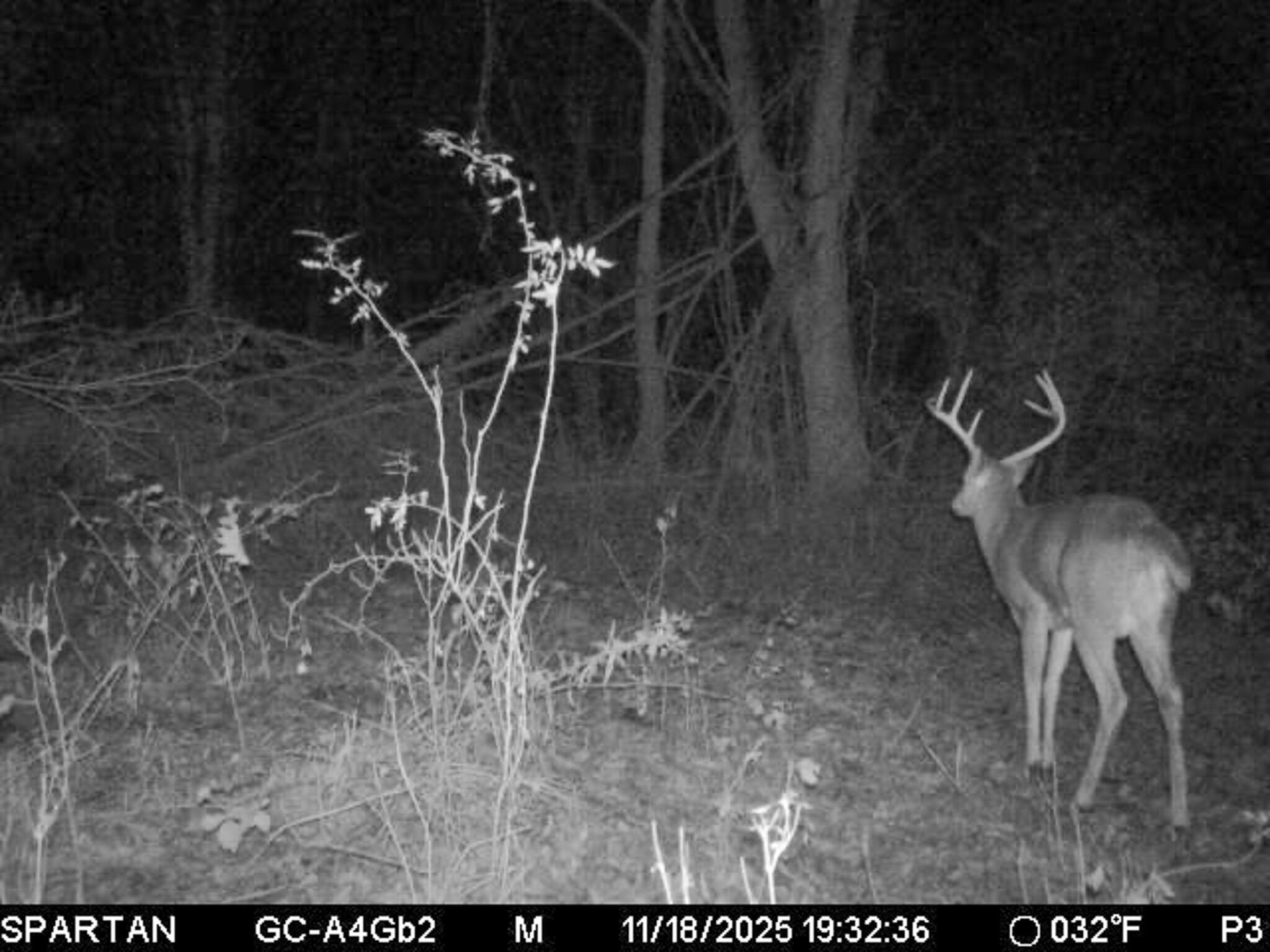 13ACRES 19th Street Hopkins MI 49328