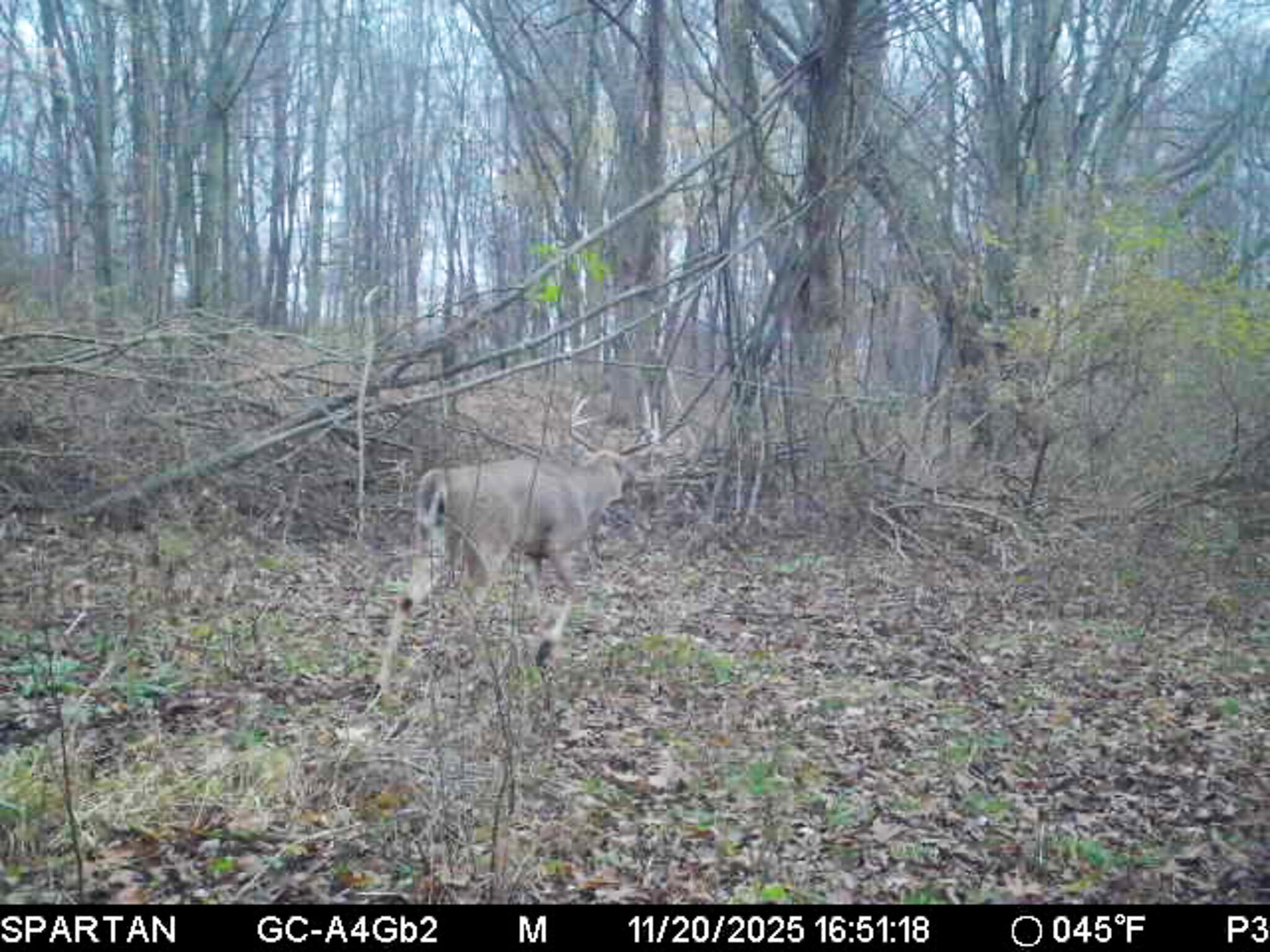 13ACRES 19th Street Hopkins MI 49328