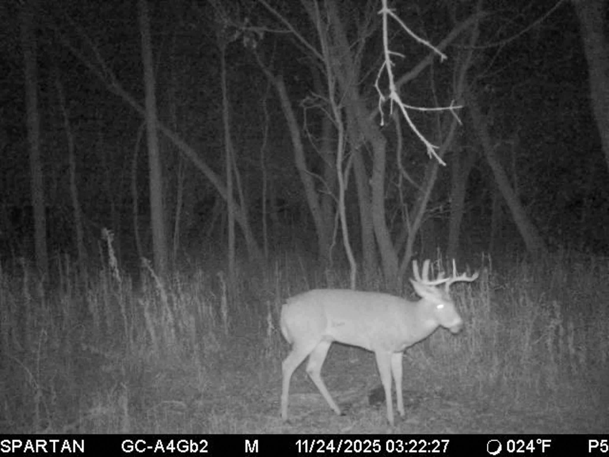 13ACRES 19th Street Hopkins MI 49328