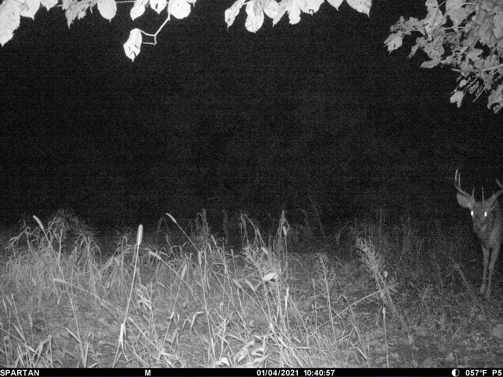 13ACRES 19th Street Hopkins MI 49328