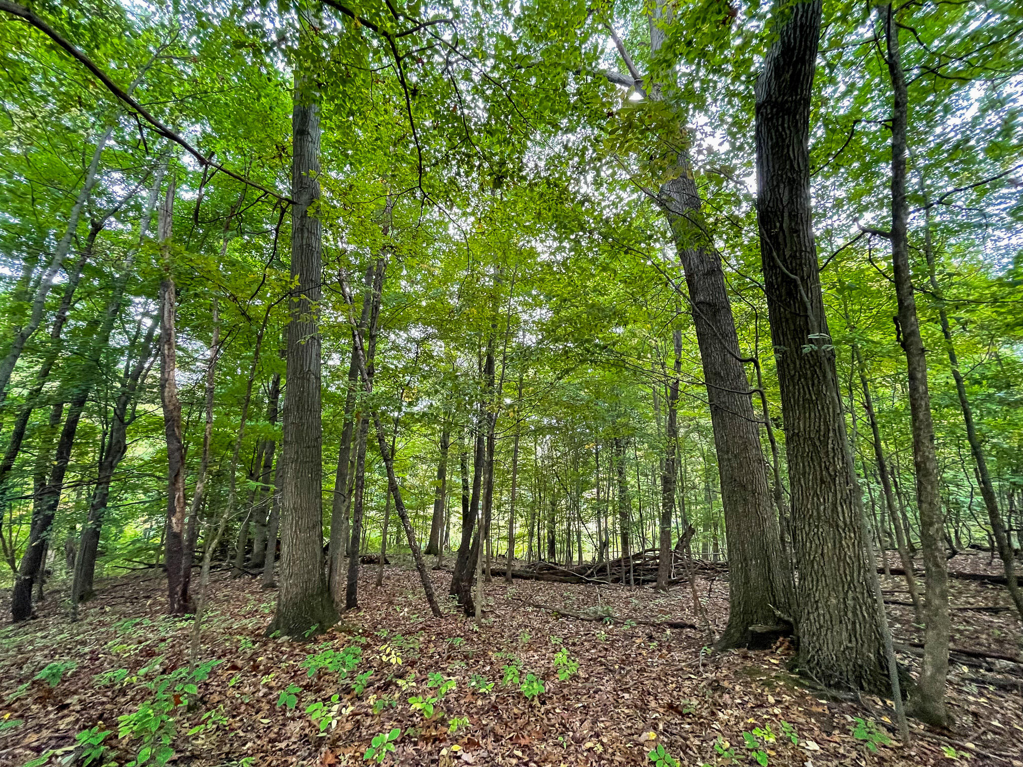 13ACRES 19th Street Hopkins MI 49328