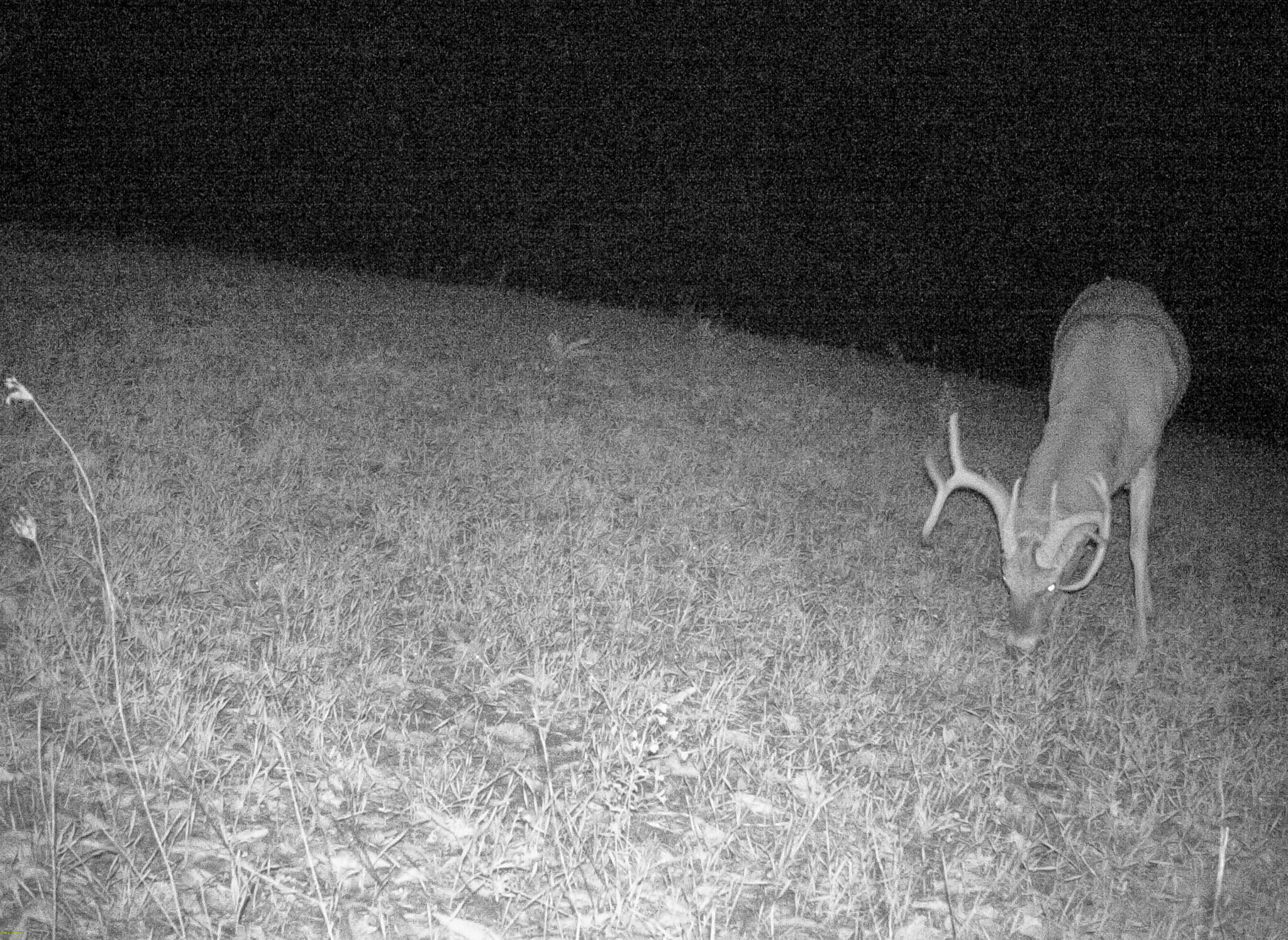 13ACRES 19th Street Hopkins MI 49328