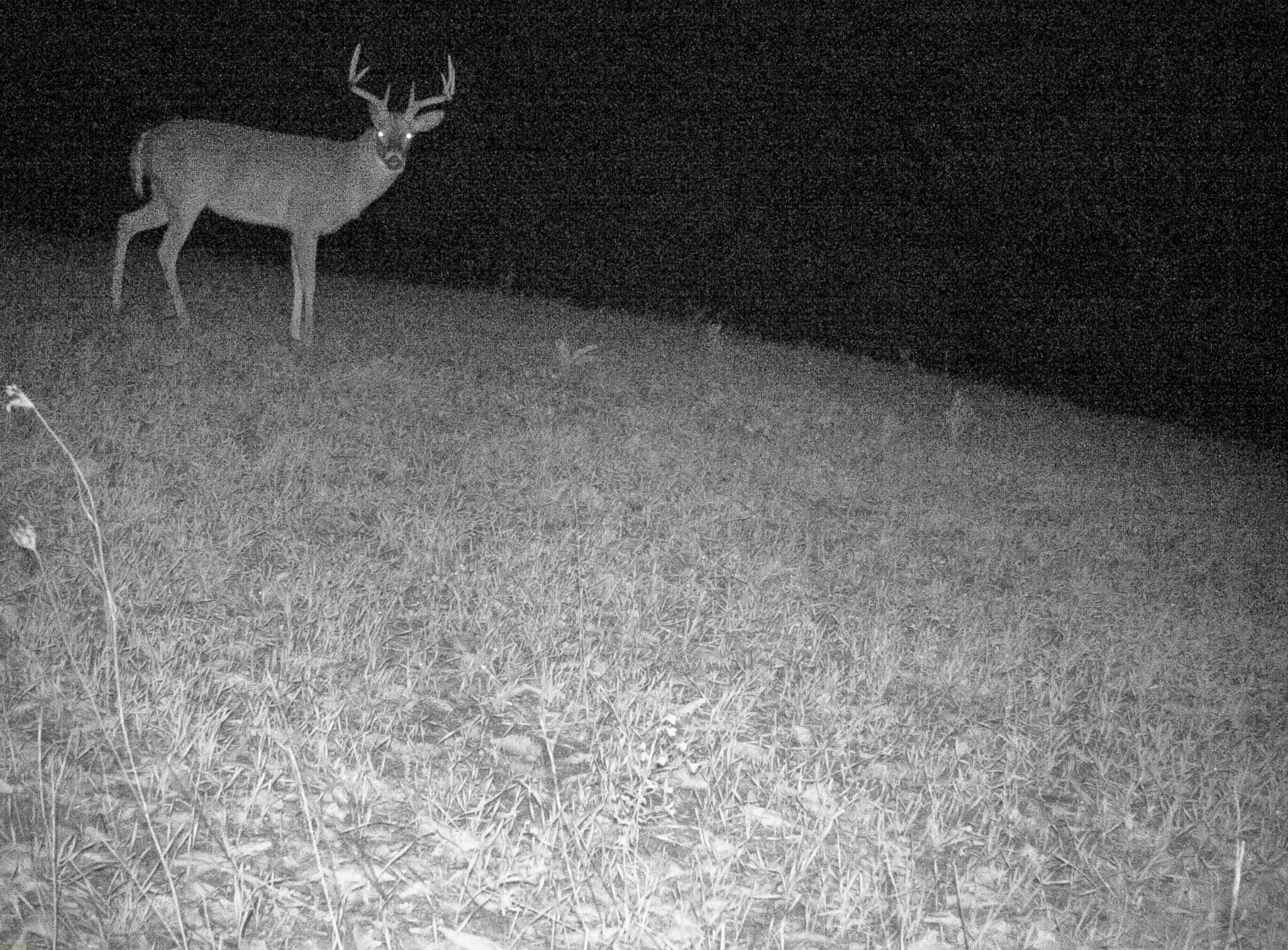 13ACRES 19th Street Hopkins MI 49328
