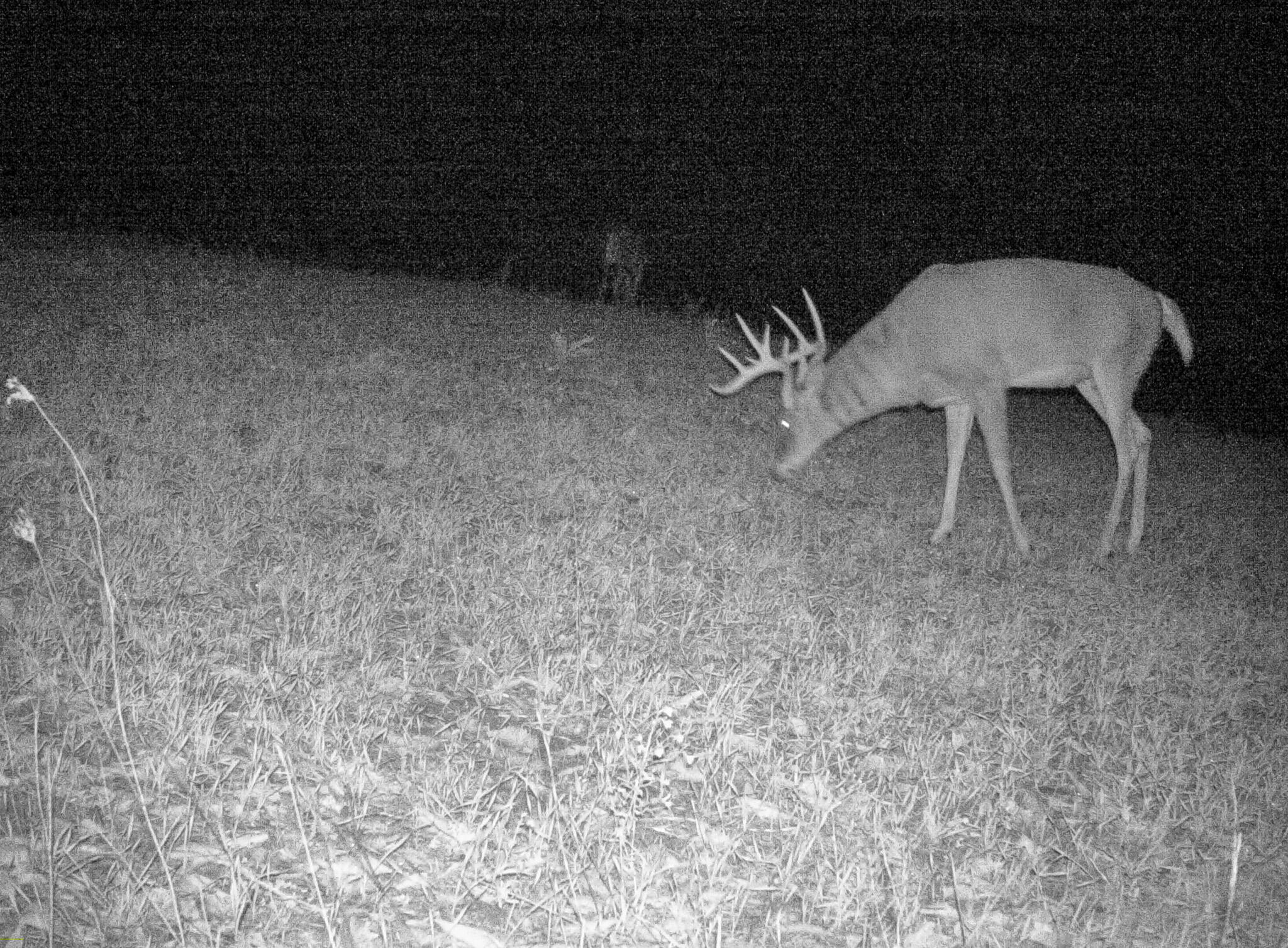 13ACRES 19th Street Hopkins MI 49328