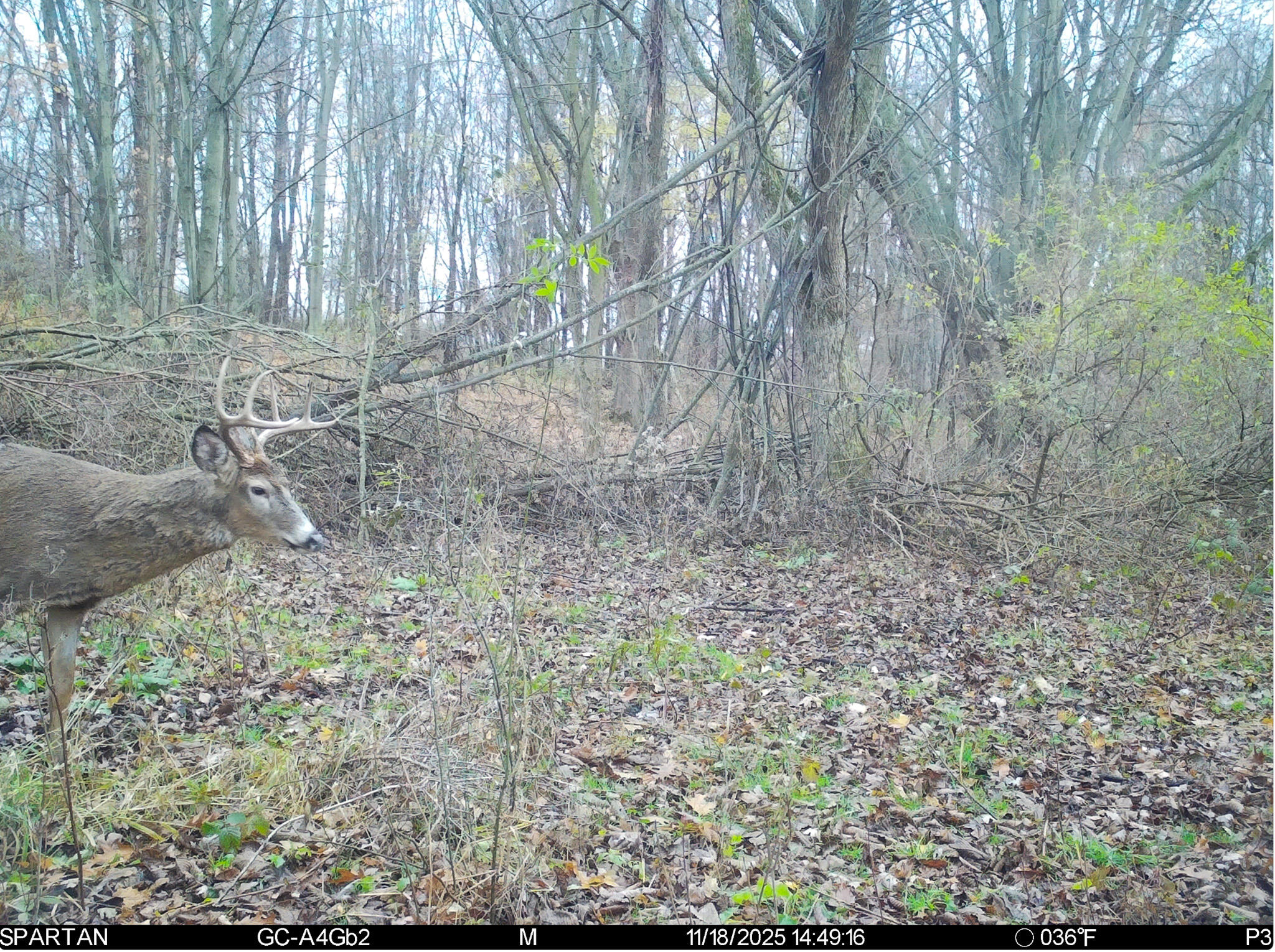 13ACRES 19th Street Hopkins MI 49328