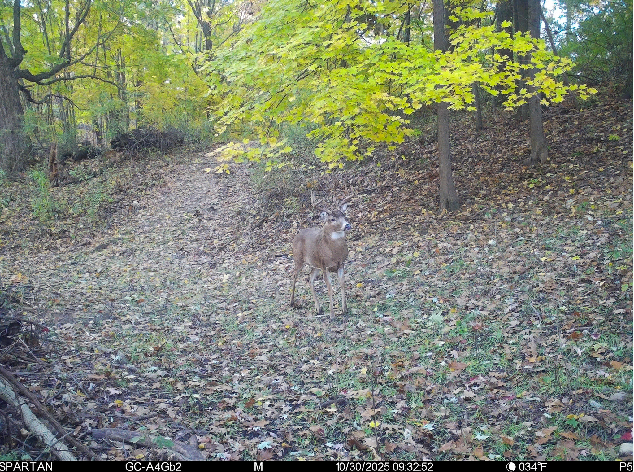 13ACRES 19th Street Hopkins MI 49328