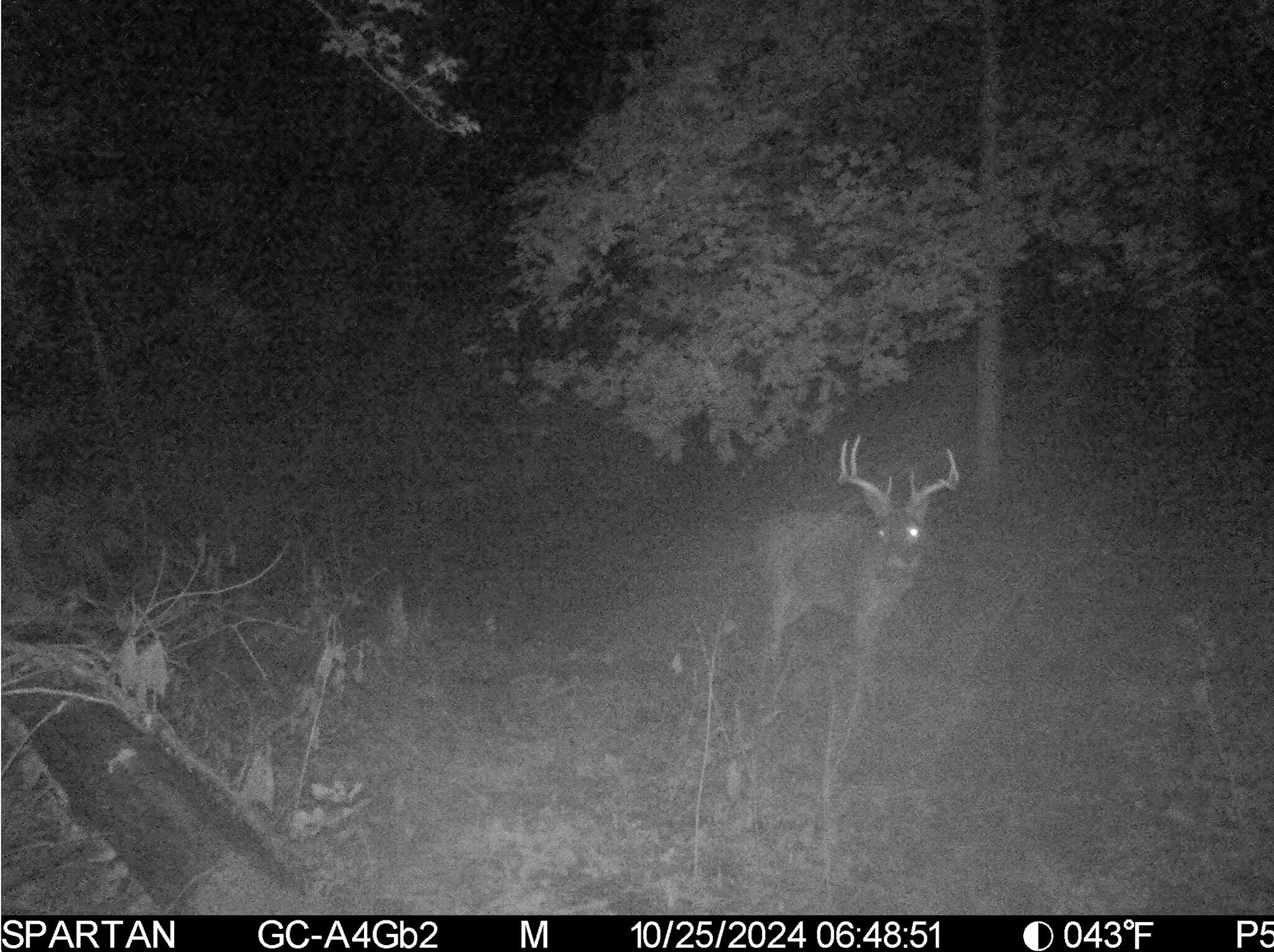 13ACRES 19th Street Hopkins MI 49328