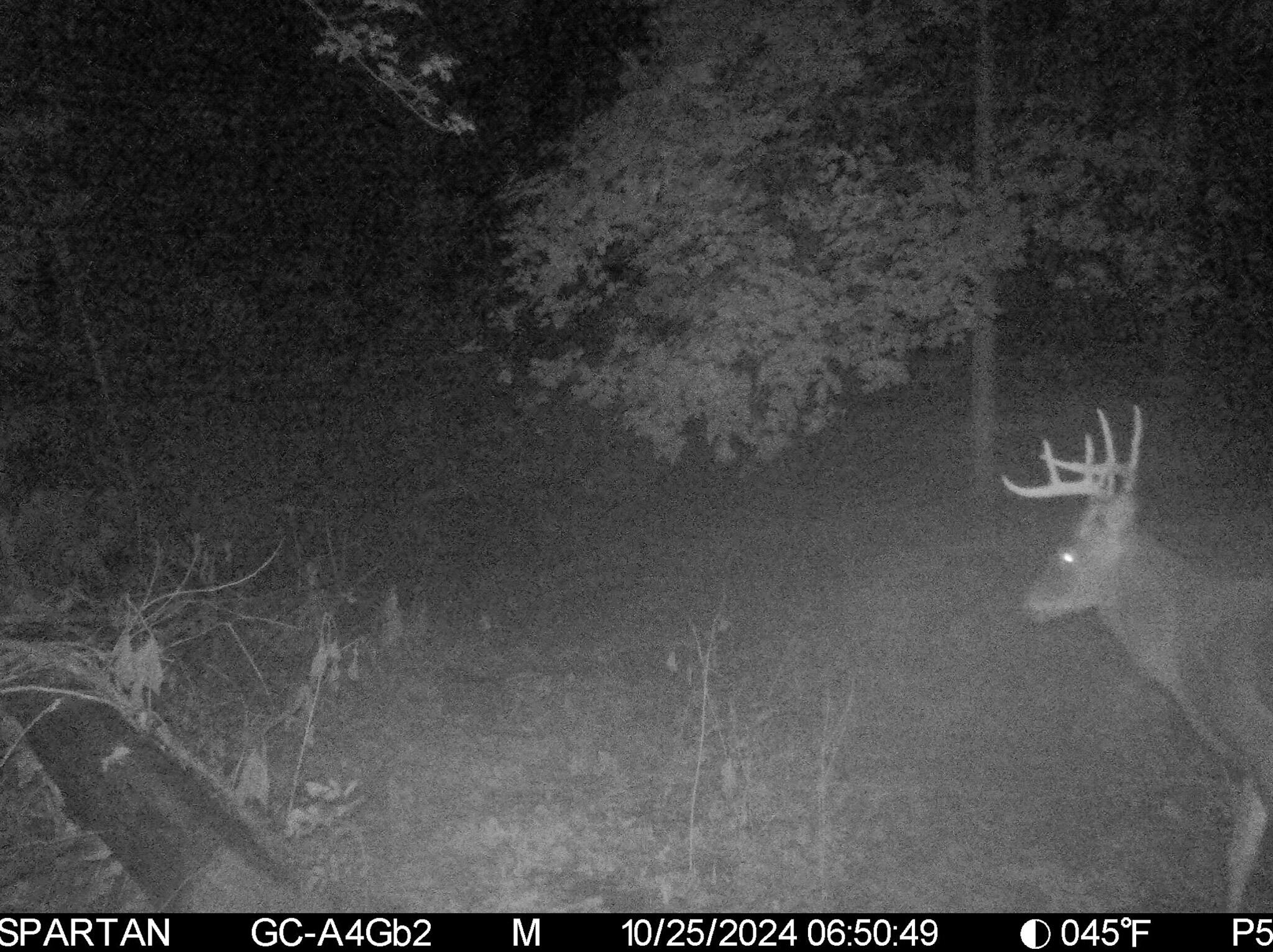 13ACRES 19th Street Hopkins MI 49328