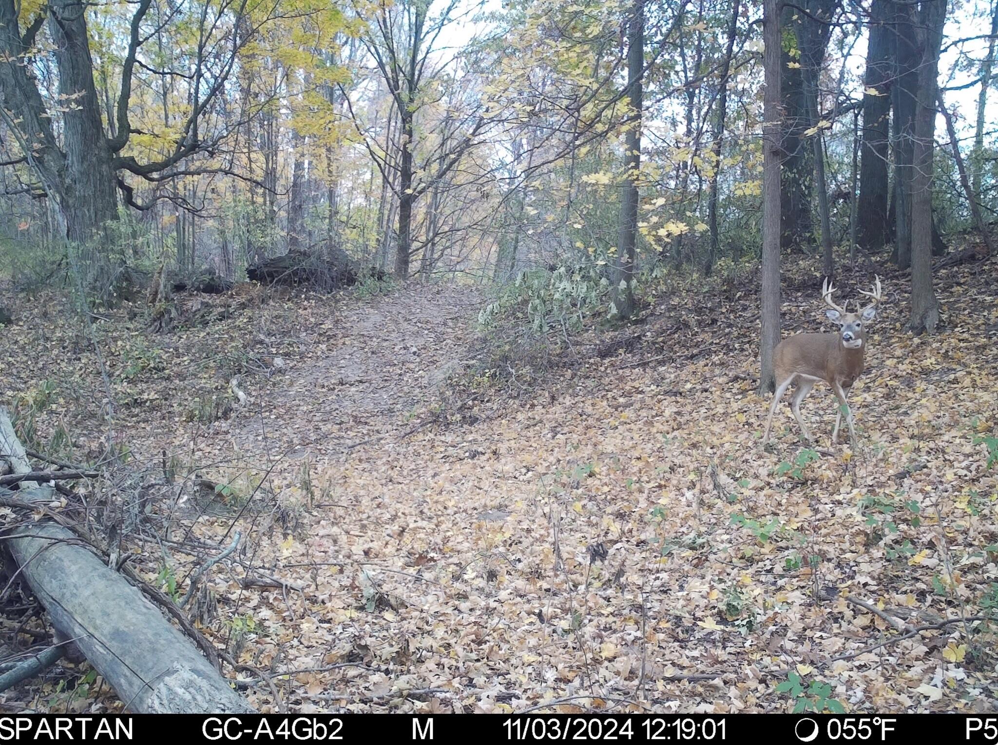 13ACRES 19th Street Hopkins MI 49328