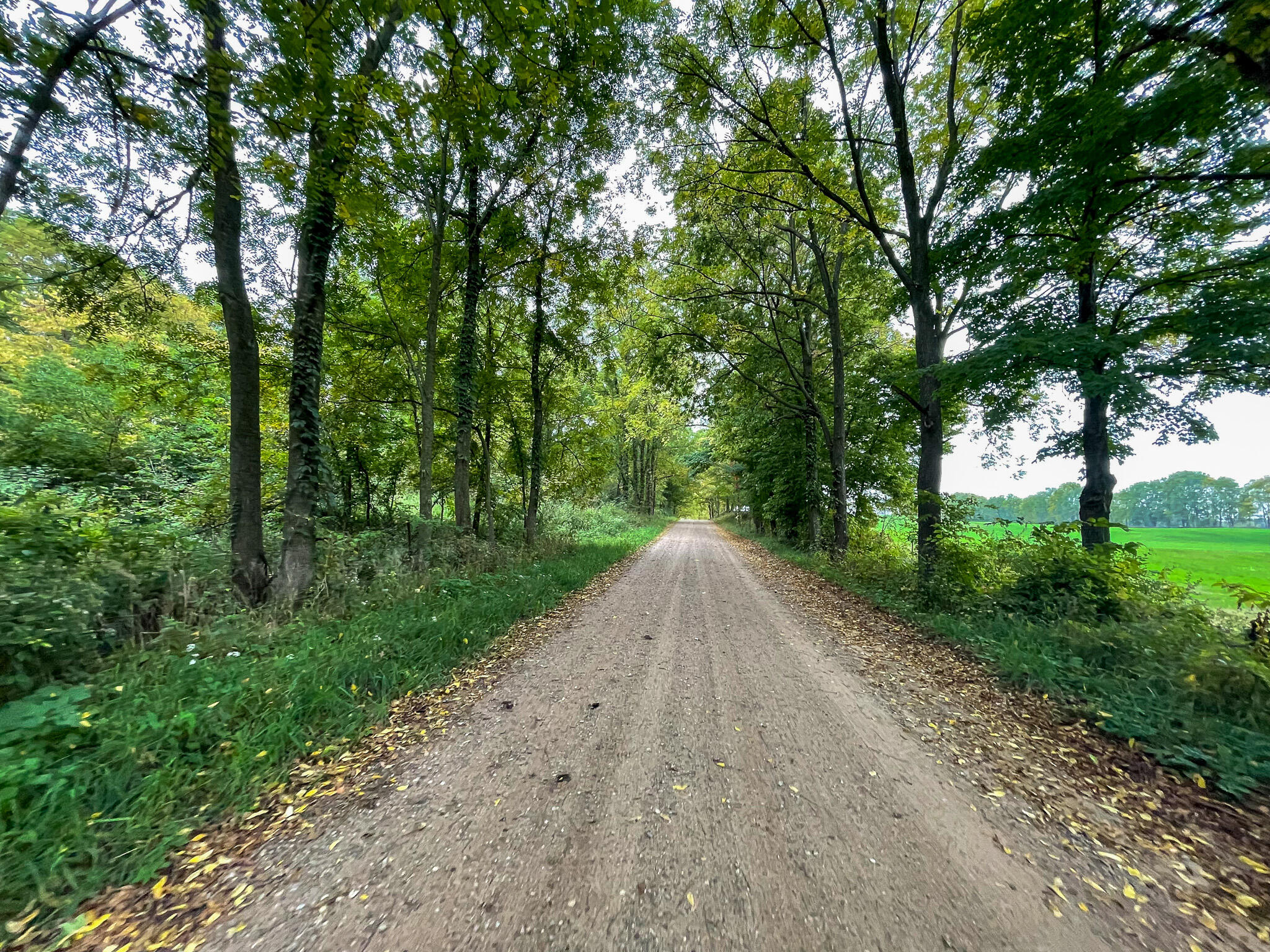 13ACRES 19th Street Hopkins MI 49328