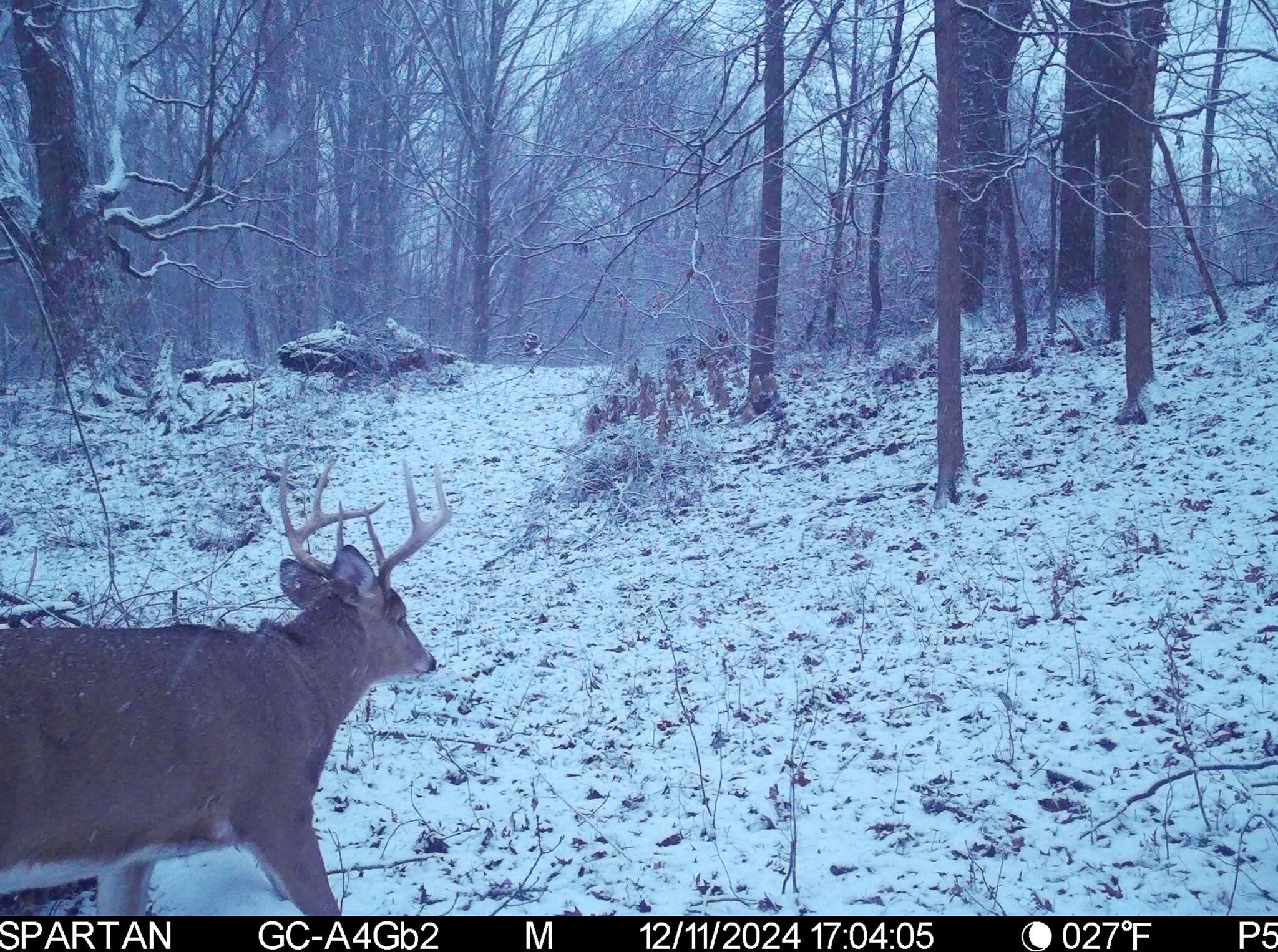 13ACRES 19th Street Hopkins MI 49328