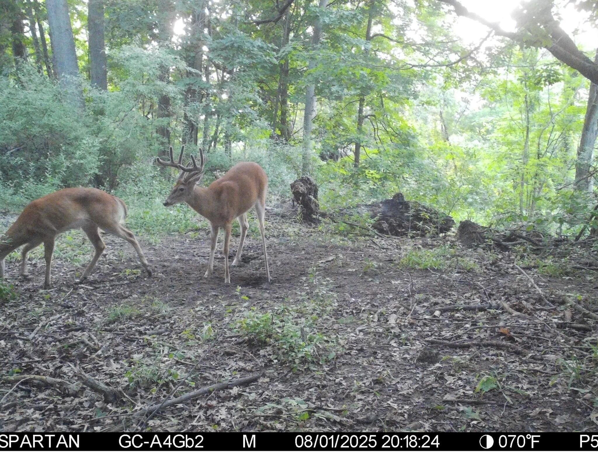 13ACRES 19th Street Hopkins MI 49328