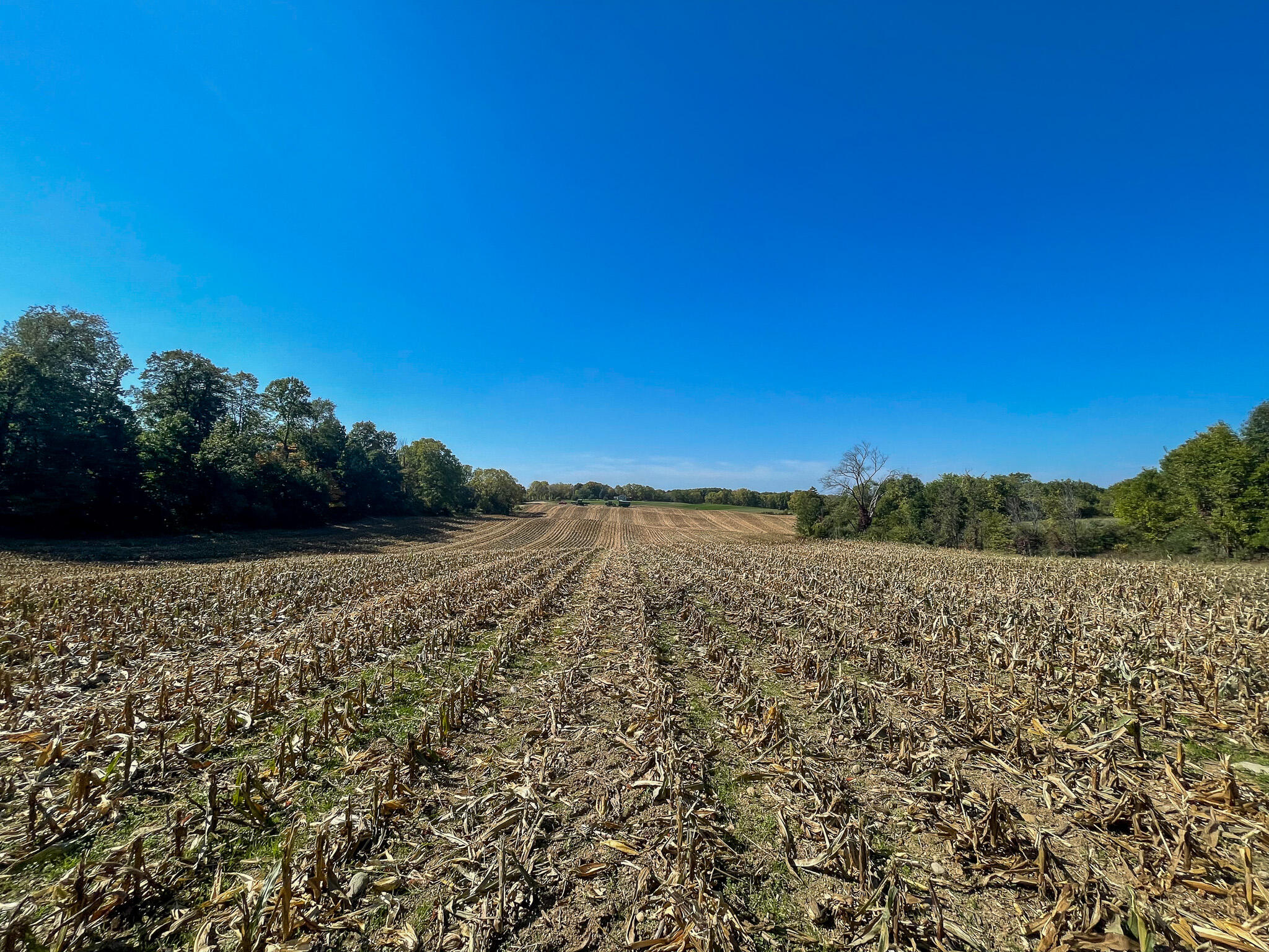 13ACRES 19th Street Hopkins MI 49328