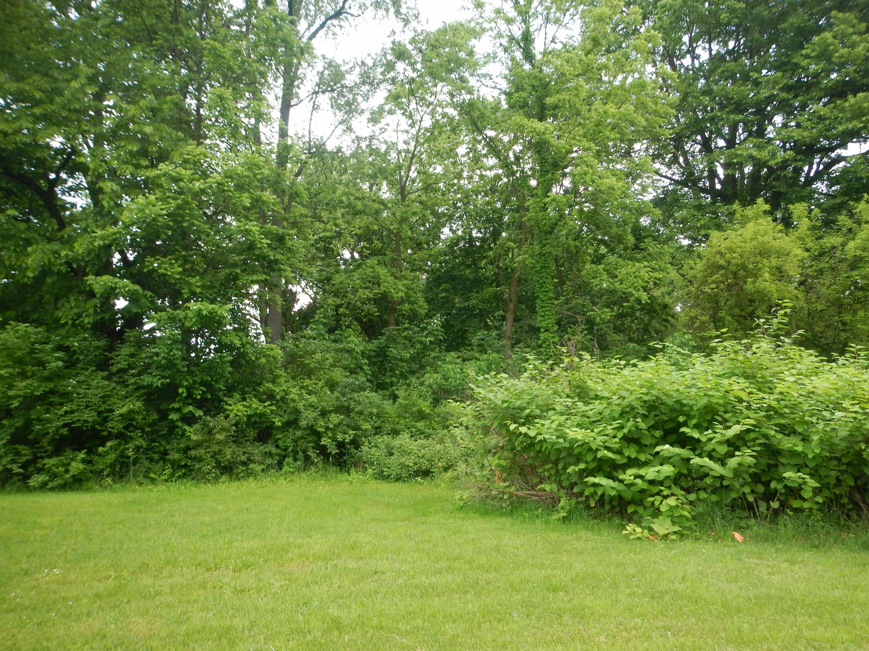 105 Hilltop Lane Cassopolis MI 49031