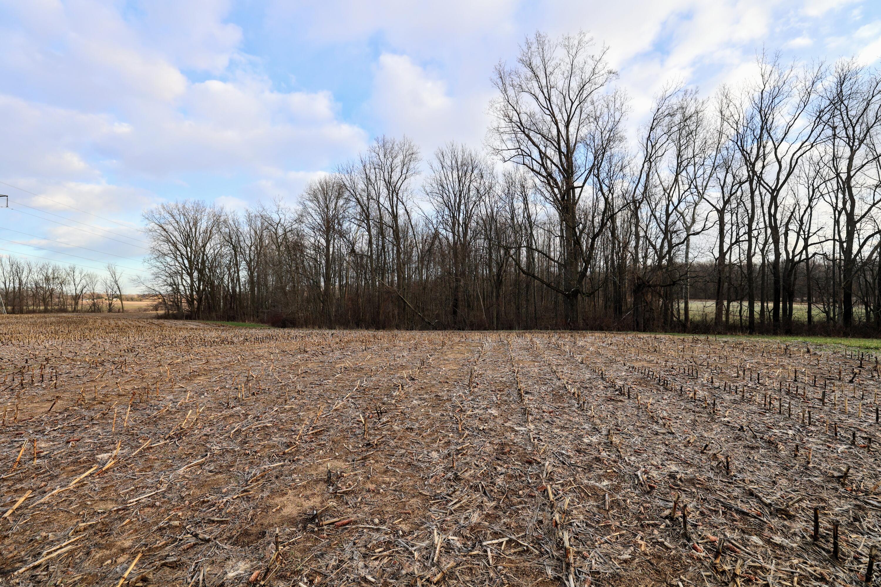 Ville W Glendora Road Buchanan MI 49107